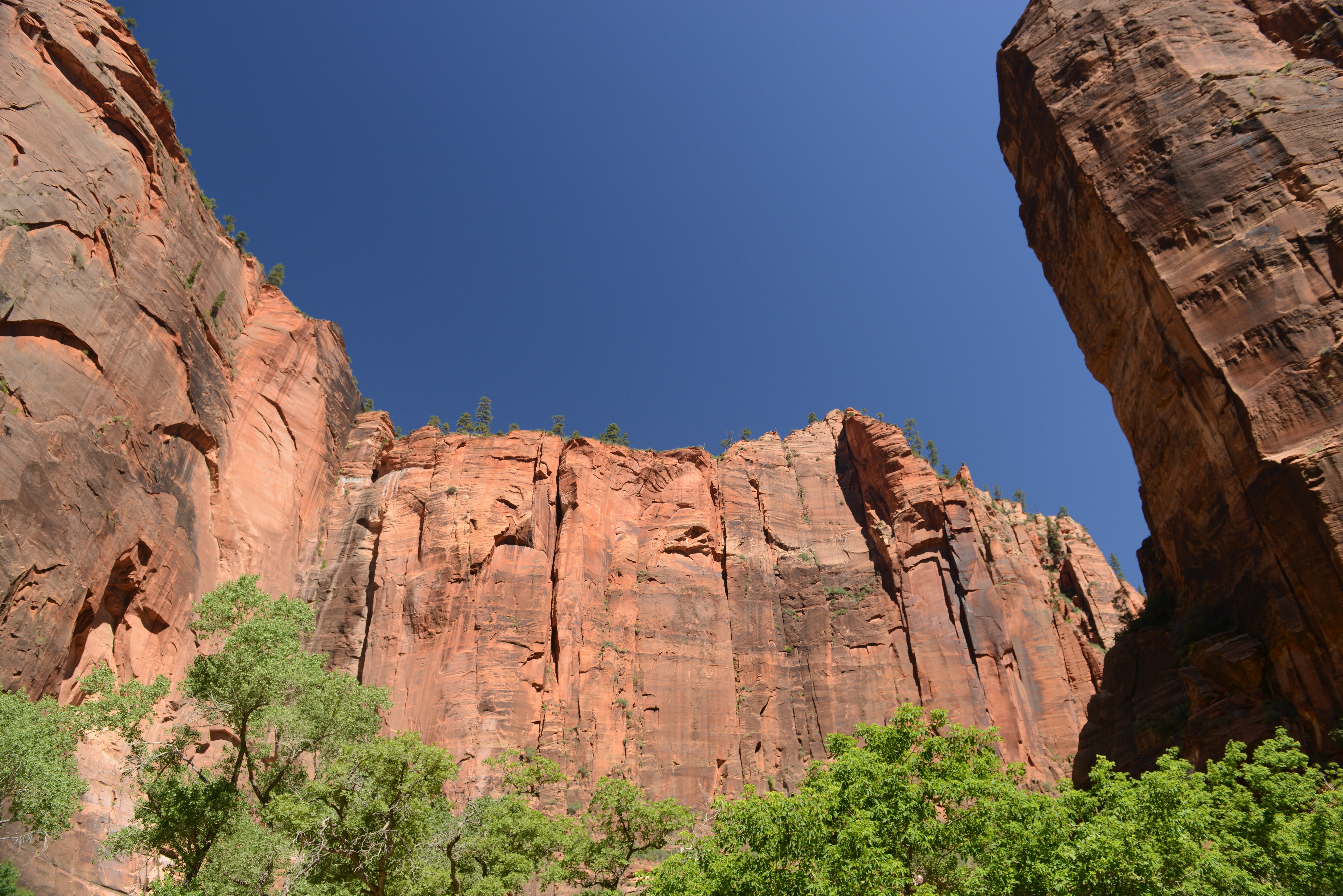 Free download high resolution image - free image free photo free stock image public domain picture -Glowing Sandstone wall, The Narrows, Zion National Park, Utah