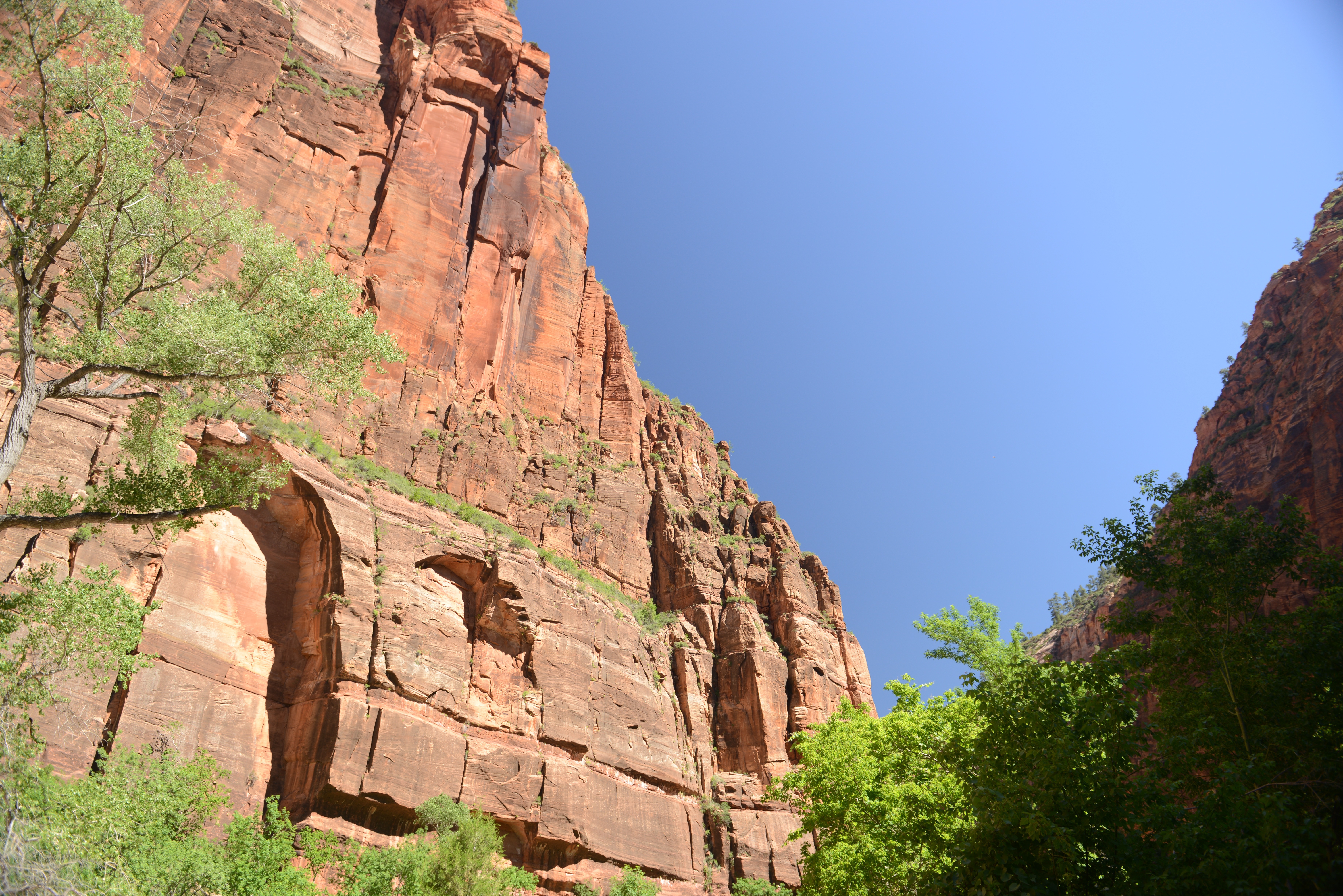 Free download high resolution image - free image free photo free stock image public domain picture -Glowing Sandstone wall, The Narrows, Zion National Park, Utah