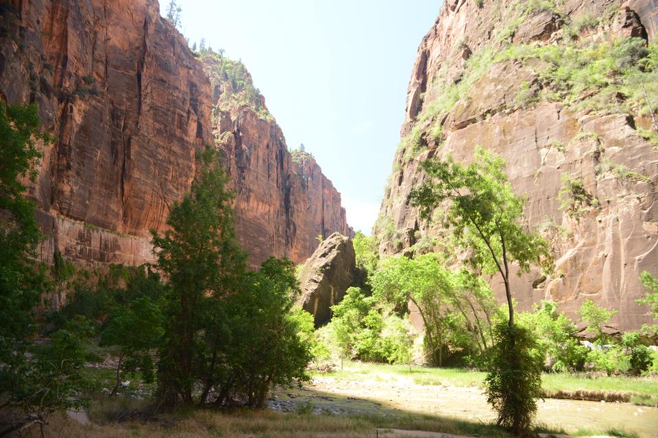 Free download high resolution image - free image free photo free stock image public domain picture  Glowing Sandstone wall, The Narrows, Zion National Park, Utah