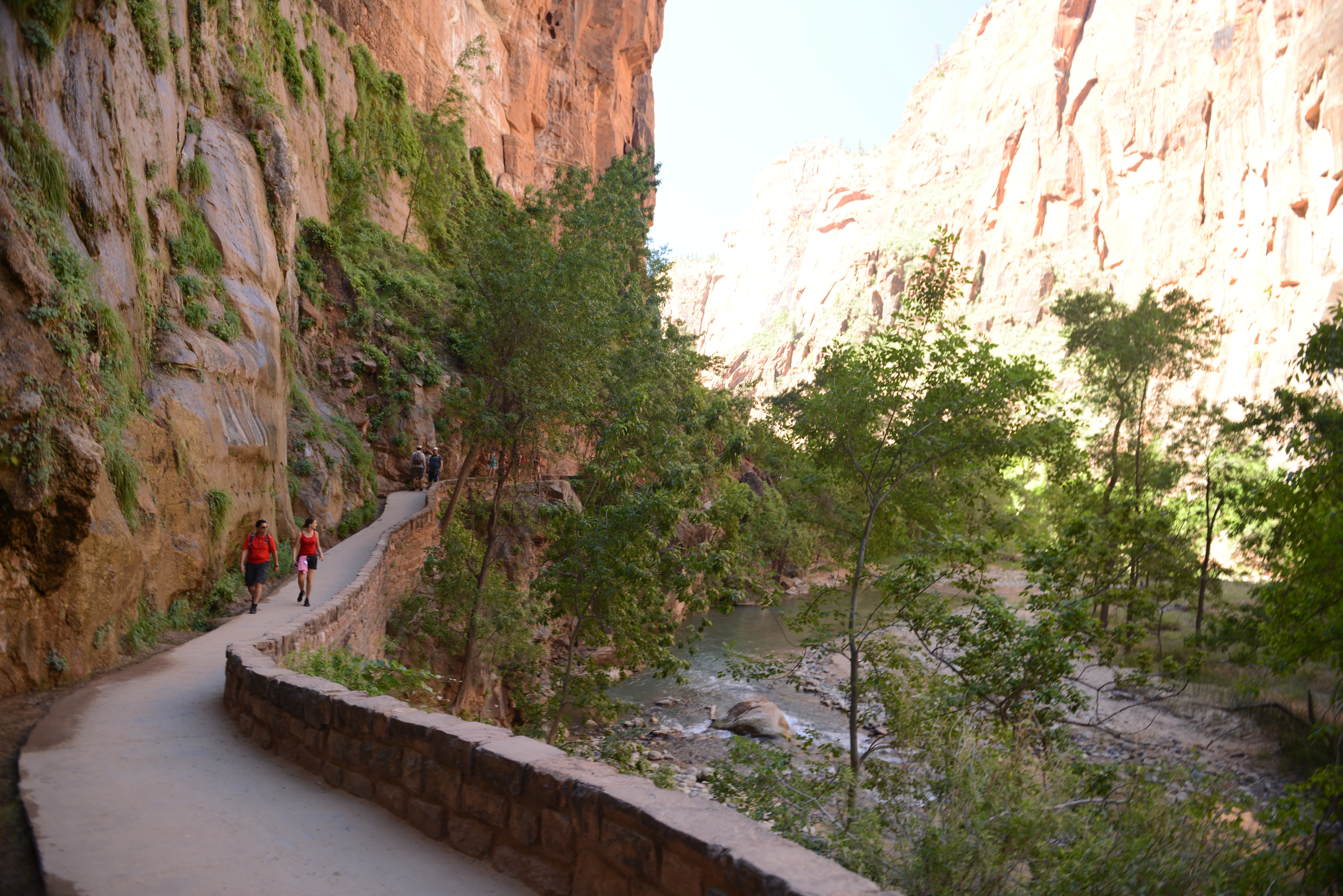 Free download high resolution image - free image free photo free stock image public domain picture -Amazing landscape of canyon in Zion National Park, The Narrow