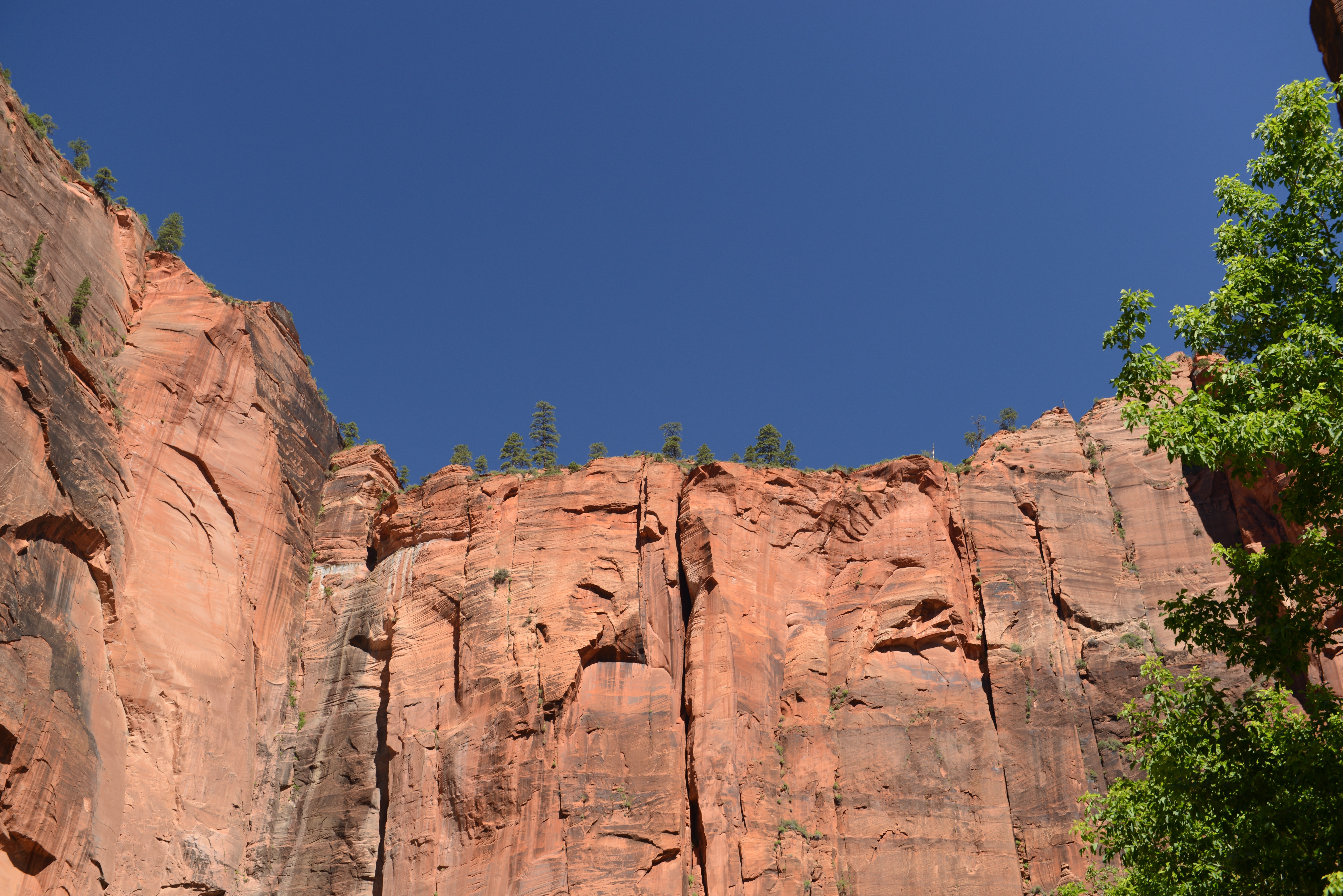 Free download high resolution image - free image free photo free stock image public domain picture -Glowing Sandstone wall, The Narrows, Zion National Park, Utah