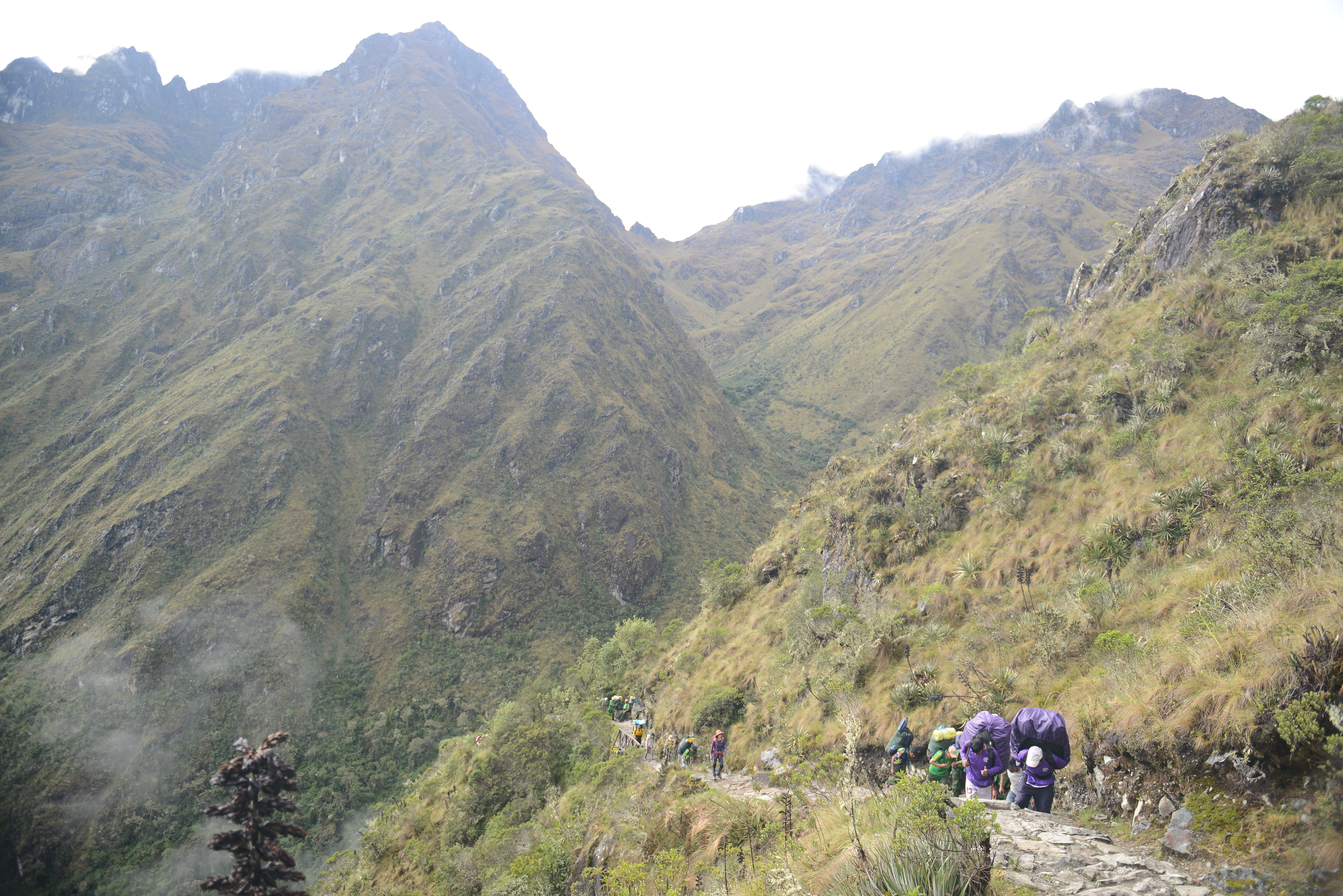 Free download high resolution image - free image free photo free stock image public domain picture -Tourists hiking the Inca Classic Trail in Peru