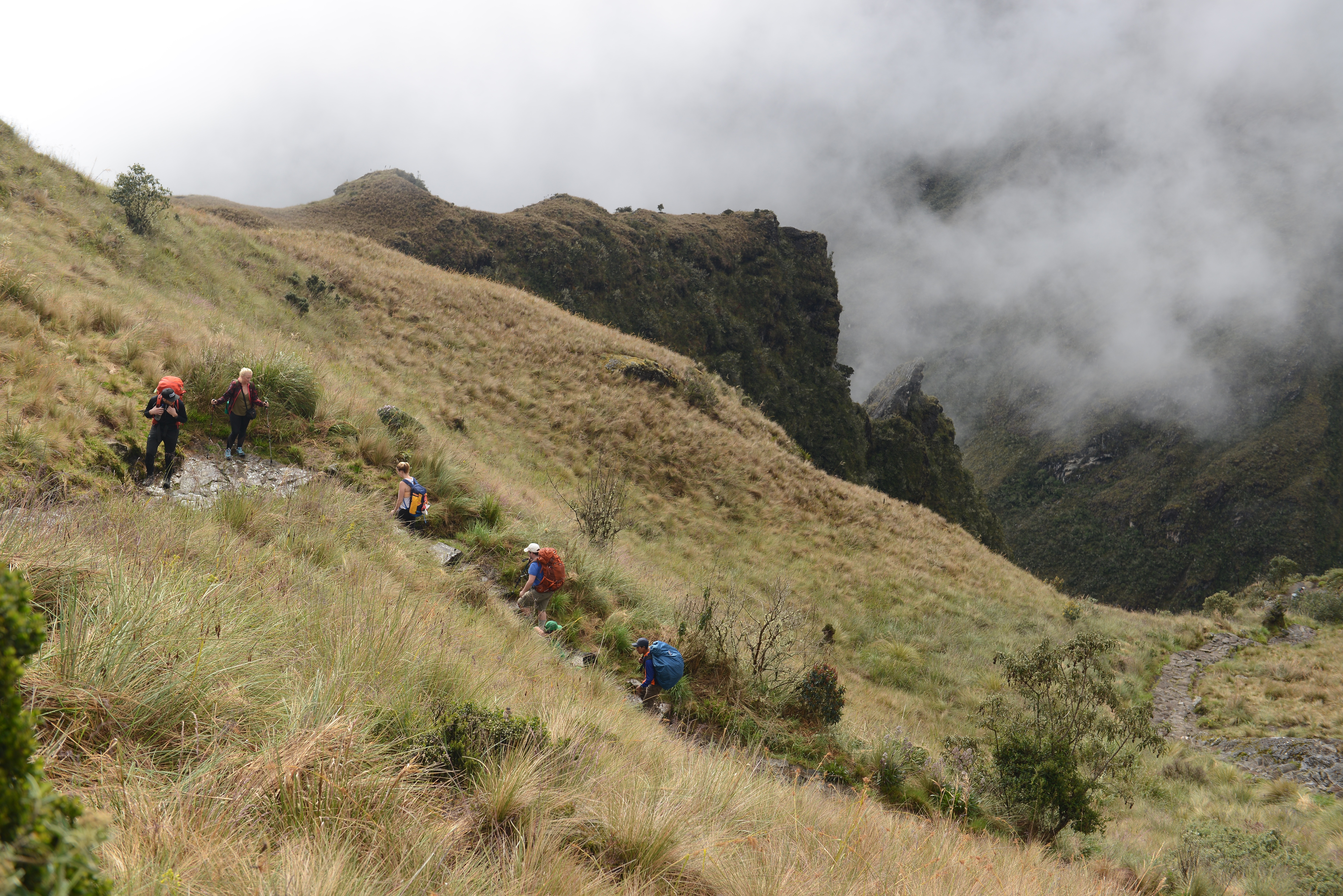 Free download high resolution image - free image free photo free stock image public domain picture -Tourists hiking the Inca Classic Trail in Peru