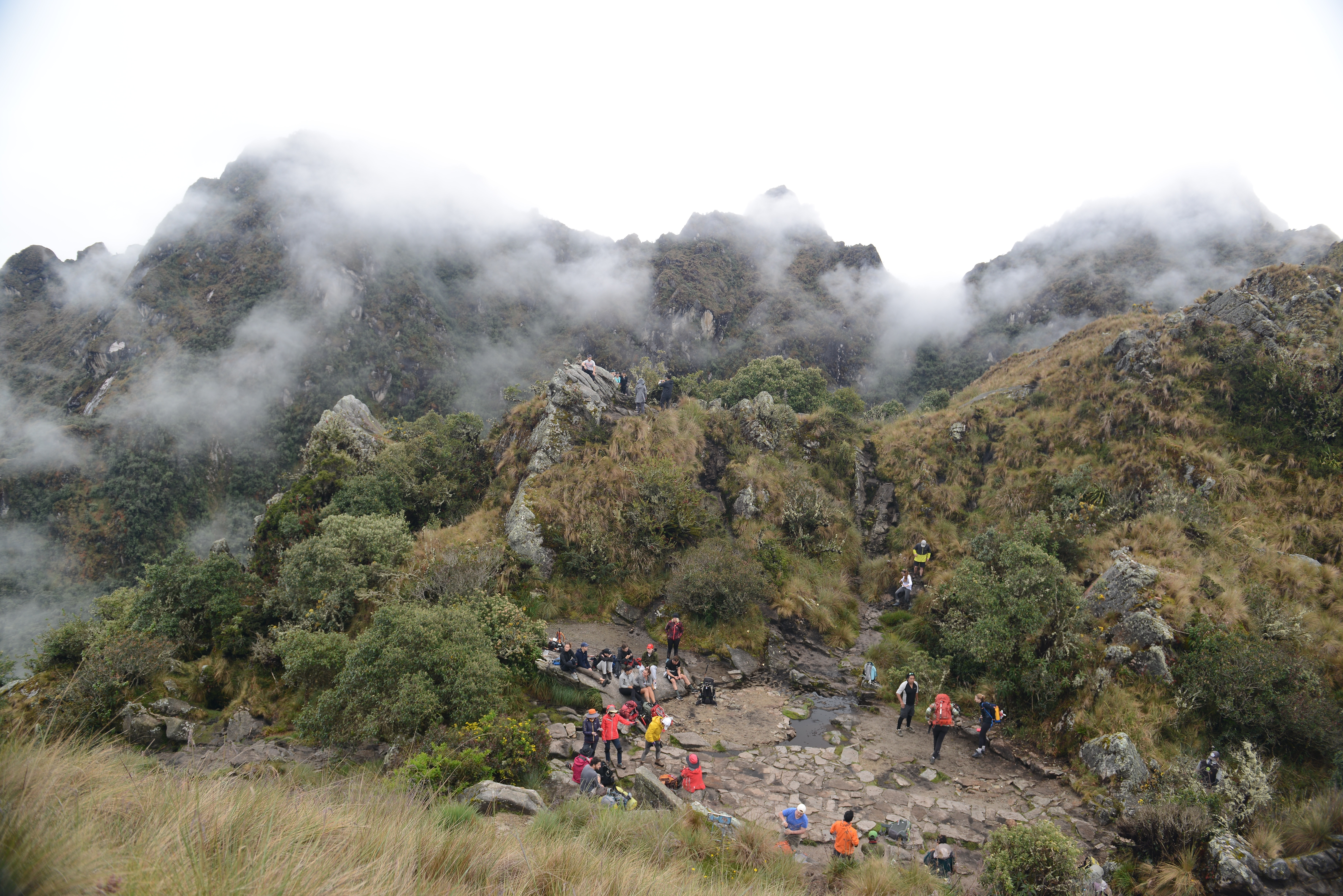 Free download high resolution image - free image free photo free stock image public domain picture -Tourists hiking the Inca Classic Trail in Peru