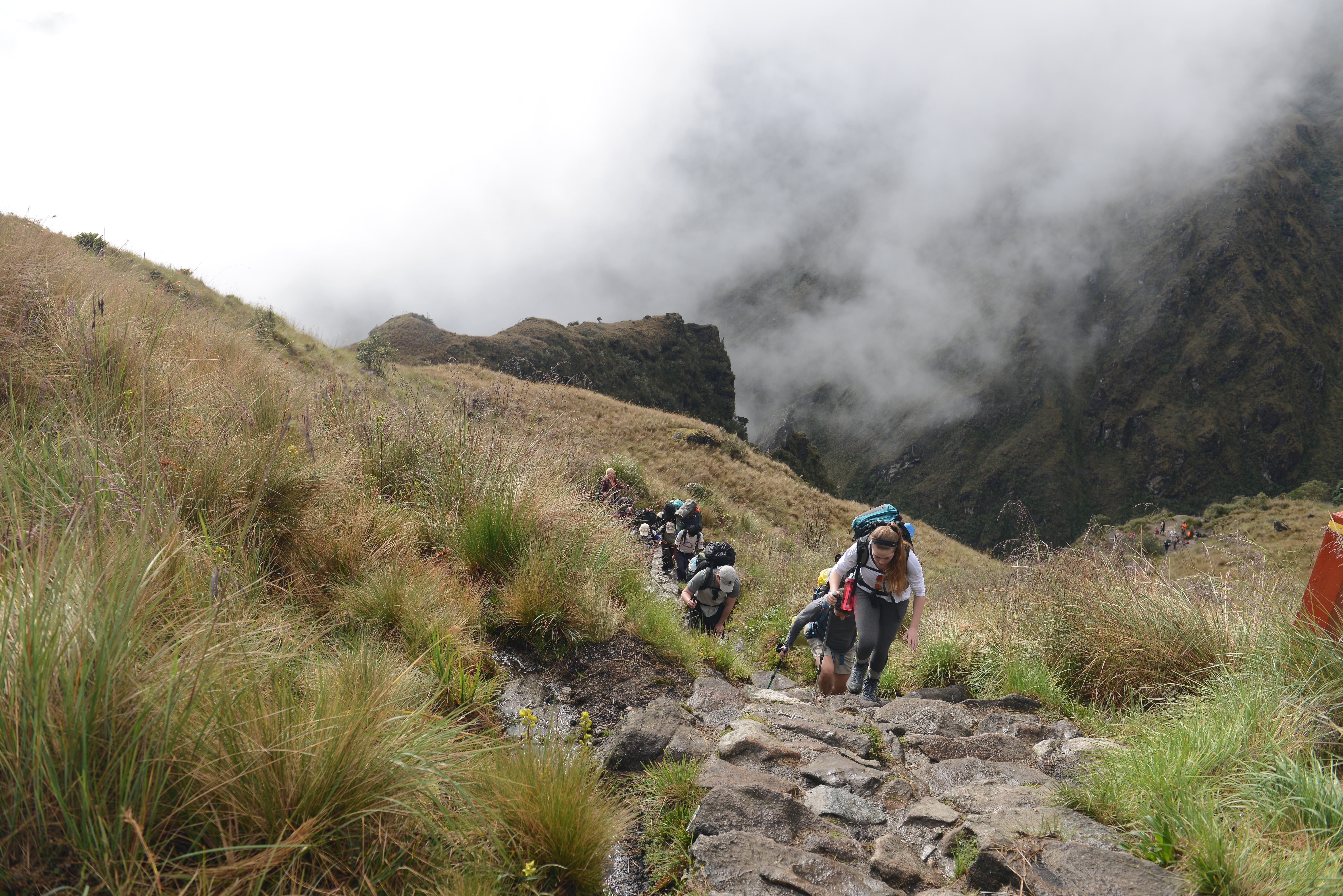 Free download high resolution image - free image free photo free stock image public domain picture -Tourists hiking the Inca Classic Trail in Peru