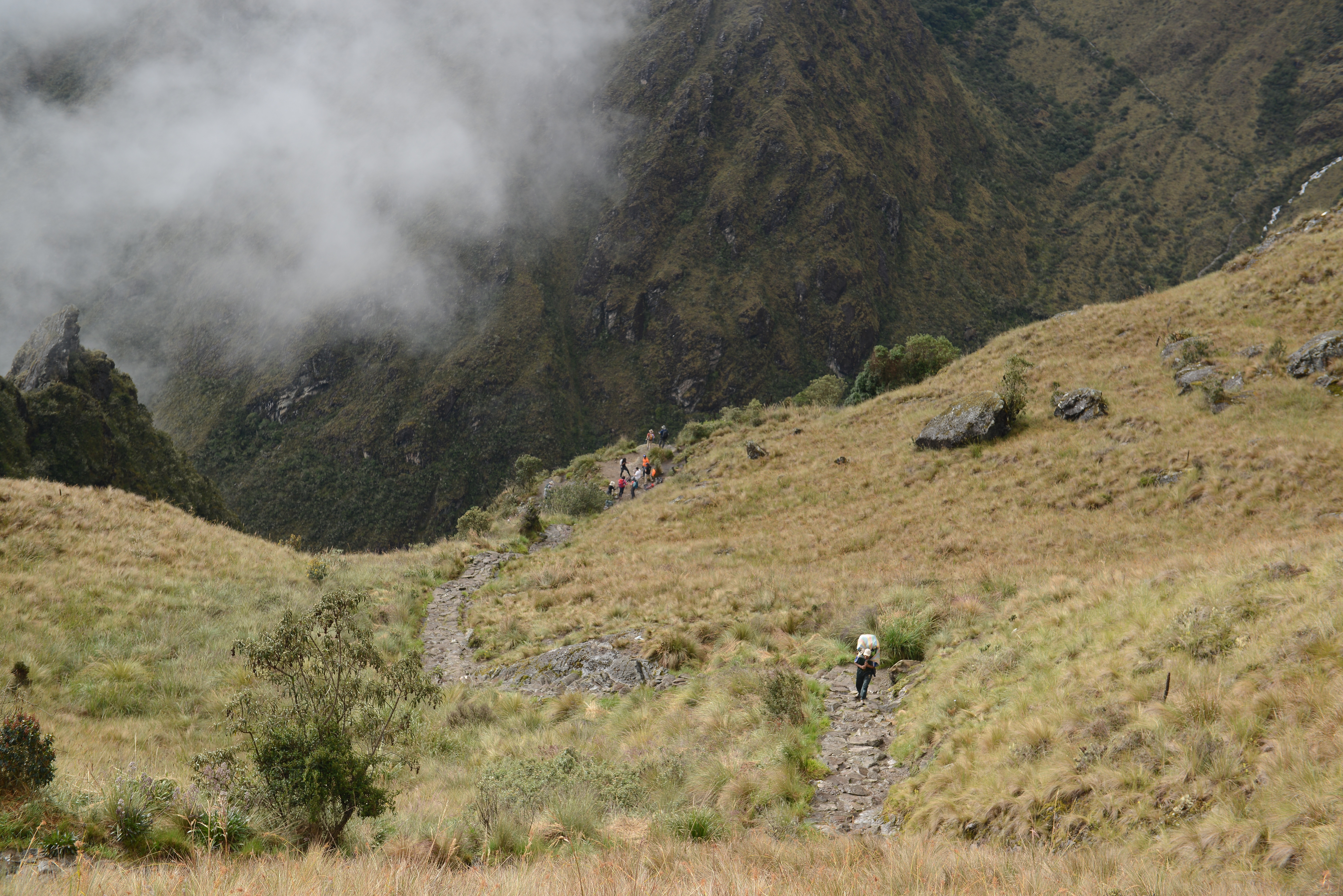 Free download high resolution image - free image free photo free stock image public domain picture -Tourists hiking the Inca Classic Trail in Peru