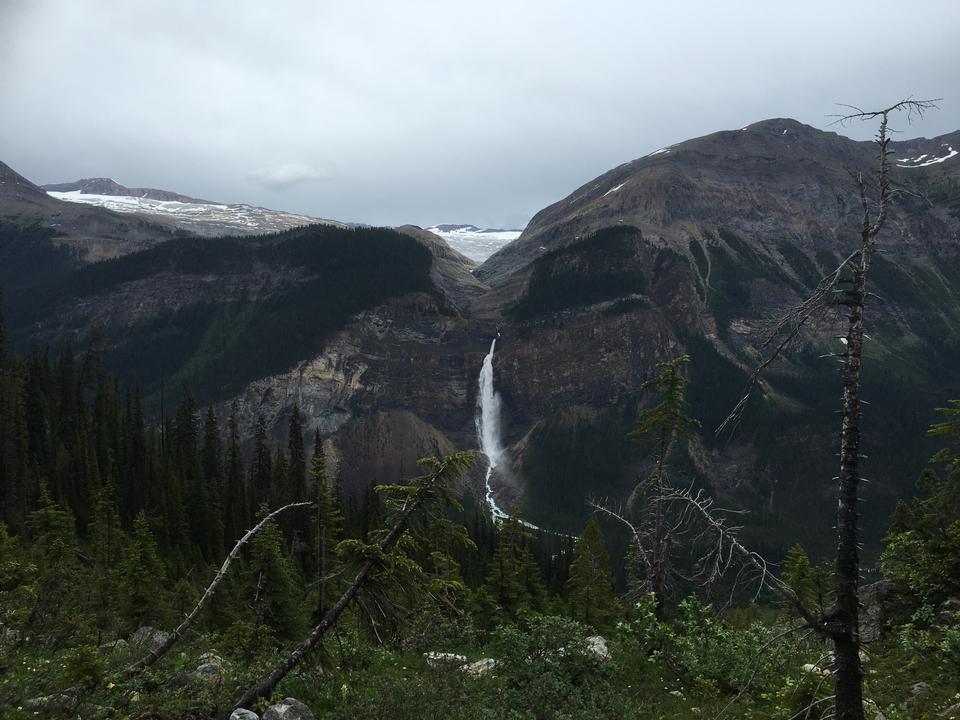 Free download high resolution image - free image free photo free stock image public domain picture  The Iceline Trail in Yoho National Park, Canadian Rockies