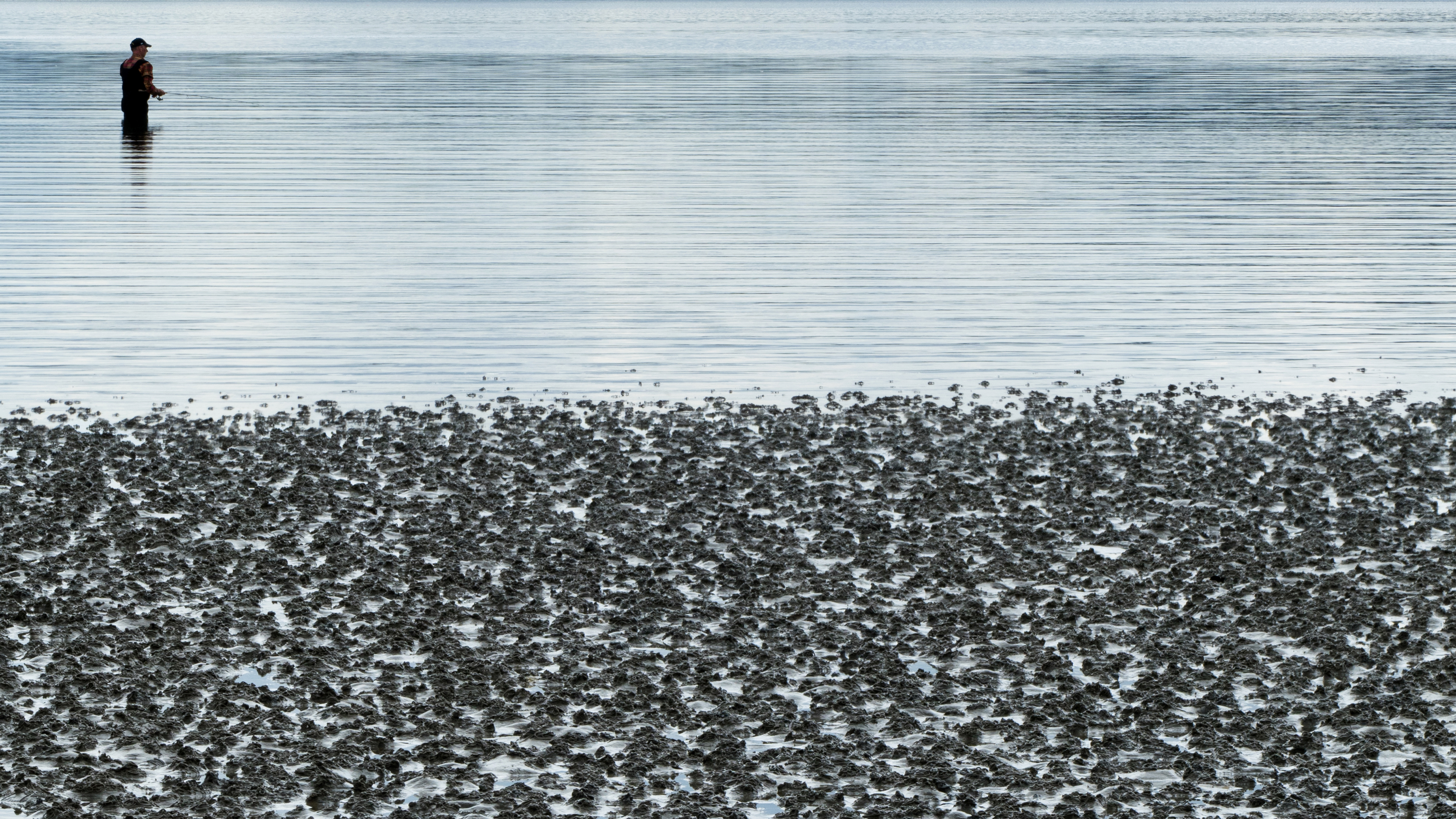 Free download high resolution image - free image free photo free stock image public domain picture -A fisherman on the mudflats at Gullmarsvik, Lysekil, Sweden