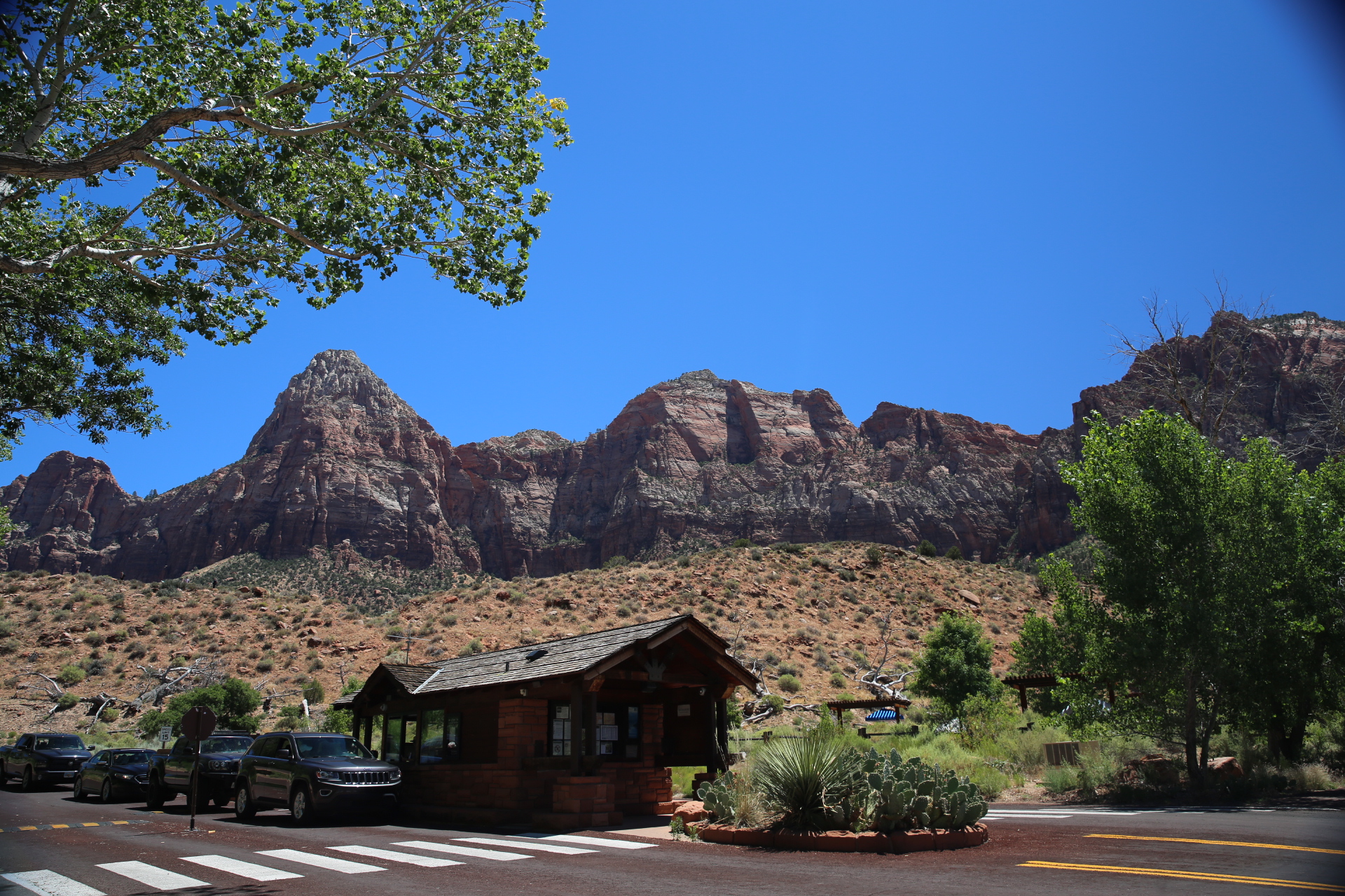 Free download high resolution image - free image free photo free stock image public domain picture -Zion National Park Nature Trails