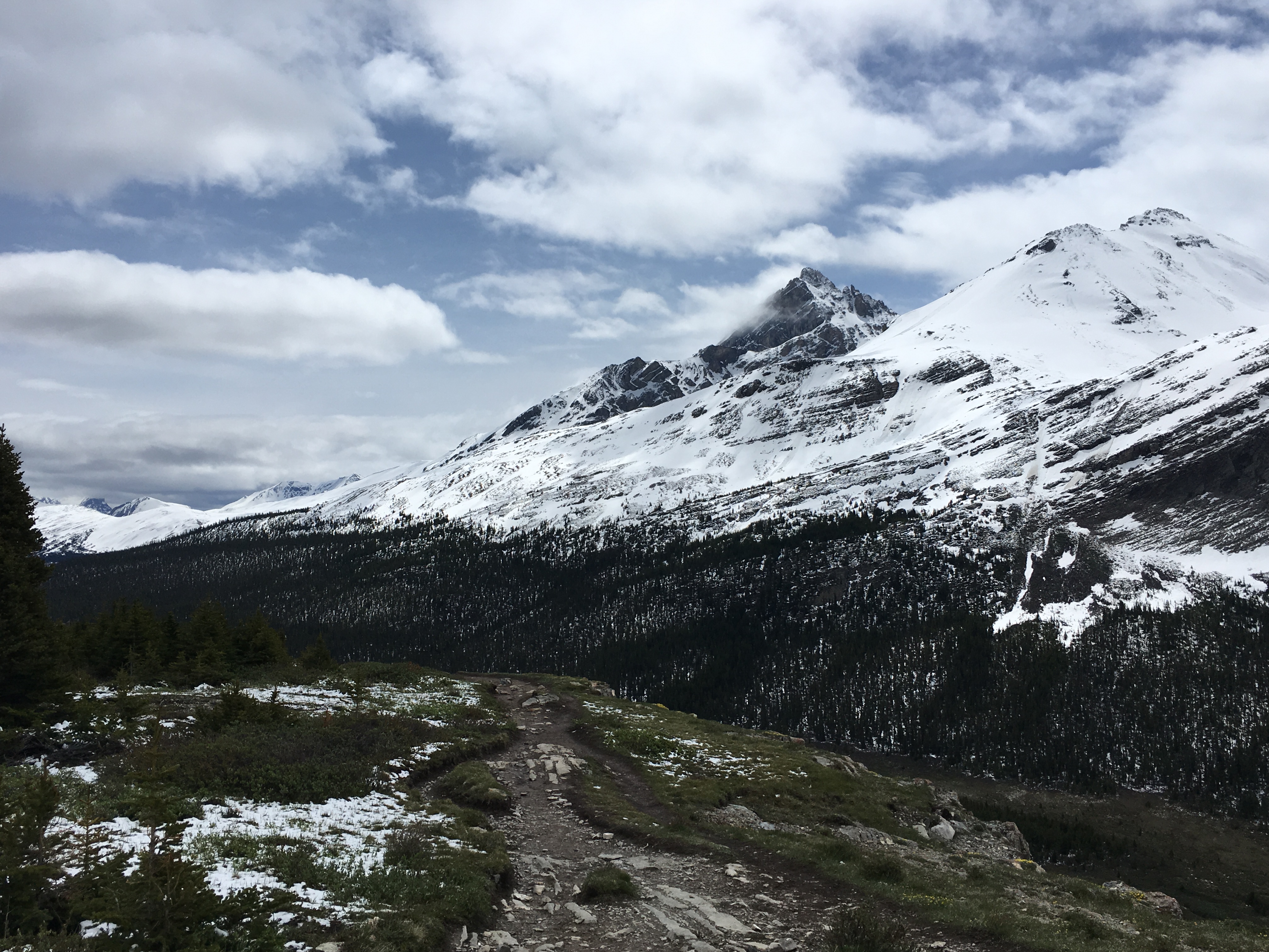 Free download high resolution image - free image free photo free stock image public domain picture -snow capped mountain in winter at canadian rockies