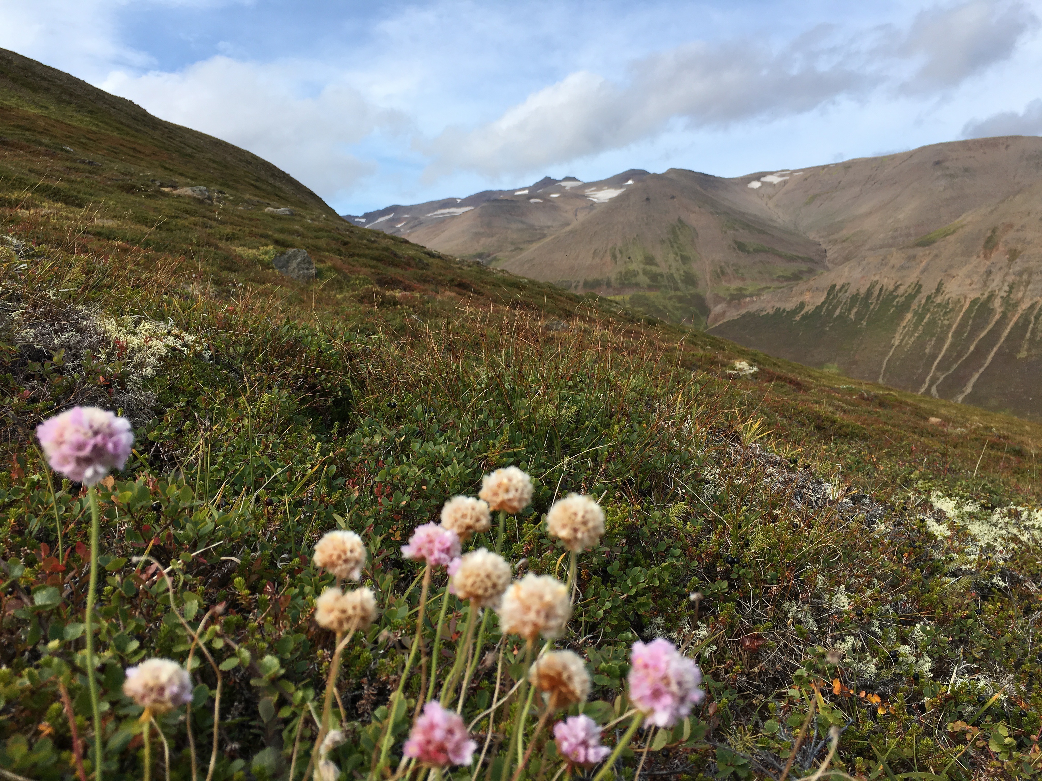 Free download high resolution image - free image free photo free stock image public domain picture -icelandic landscape