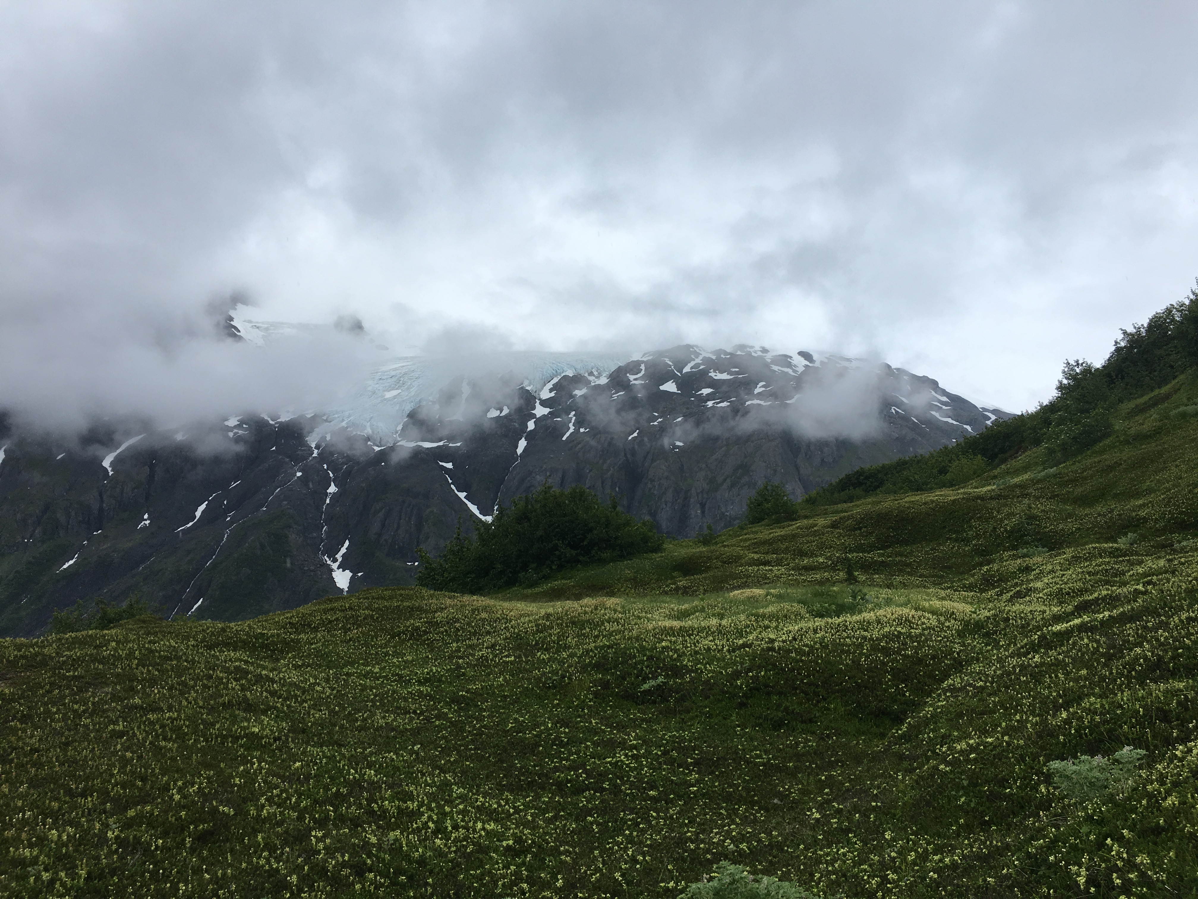 Free download high resolution image - free image free photo free stock image public domain picture -Harding Ice Field, Kenai Fjords National Park, Alaska