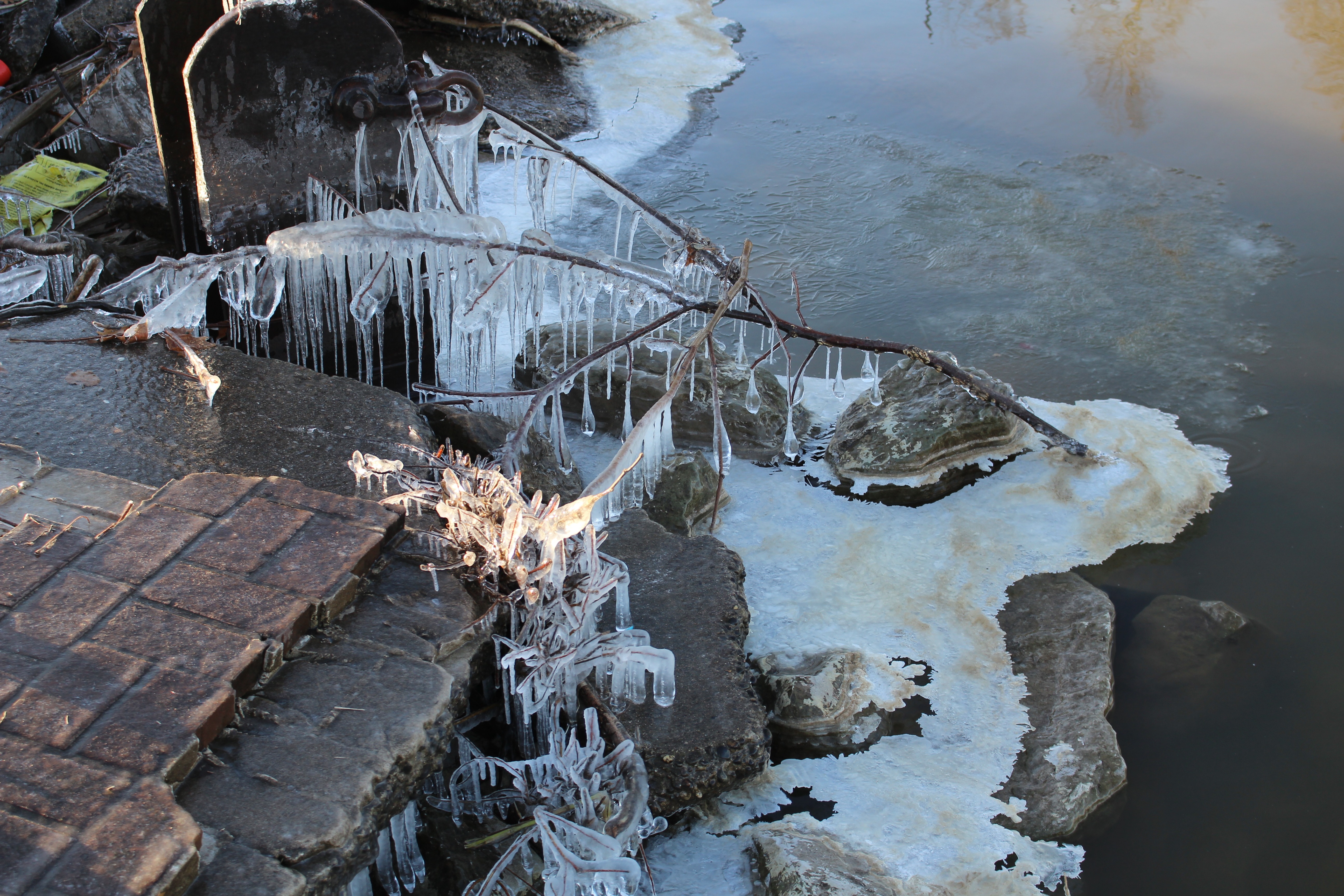 Free download high resolution image - free image free photo free stock image public domain picture -Iced Riverside