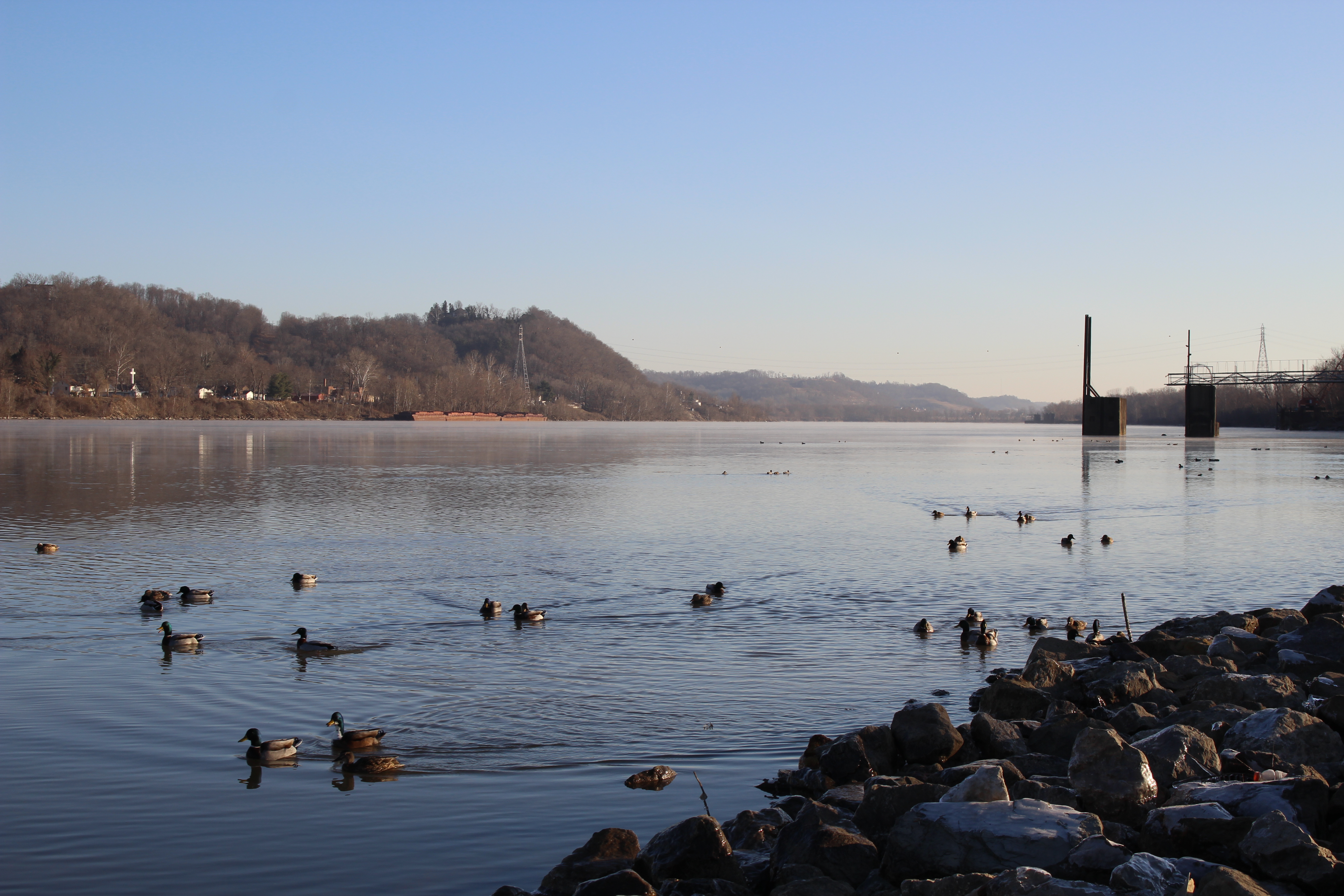 Free download high resolution image - free image free photo free stock image public domain picture -Ducks