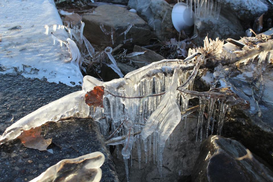 Free download high resolution image - free image free photo free stock image public domain picture  Iced Riverside