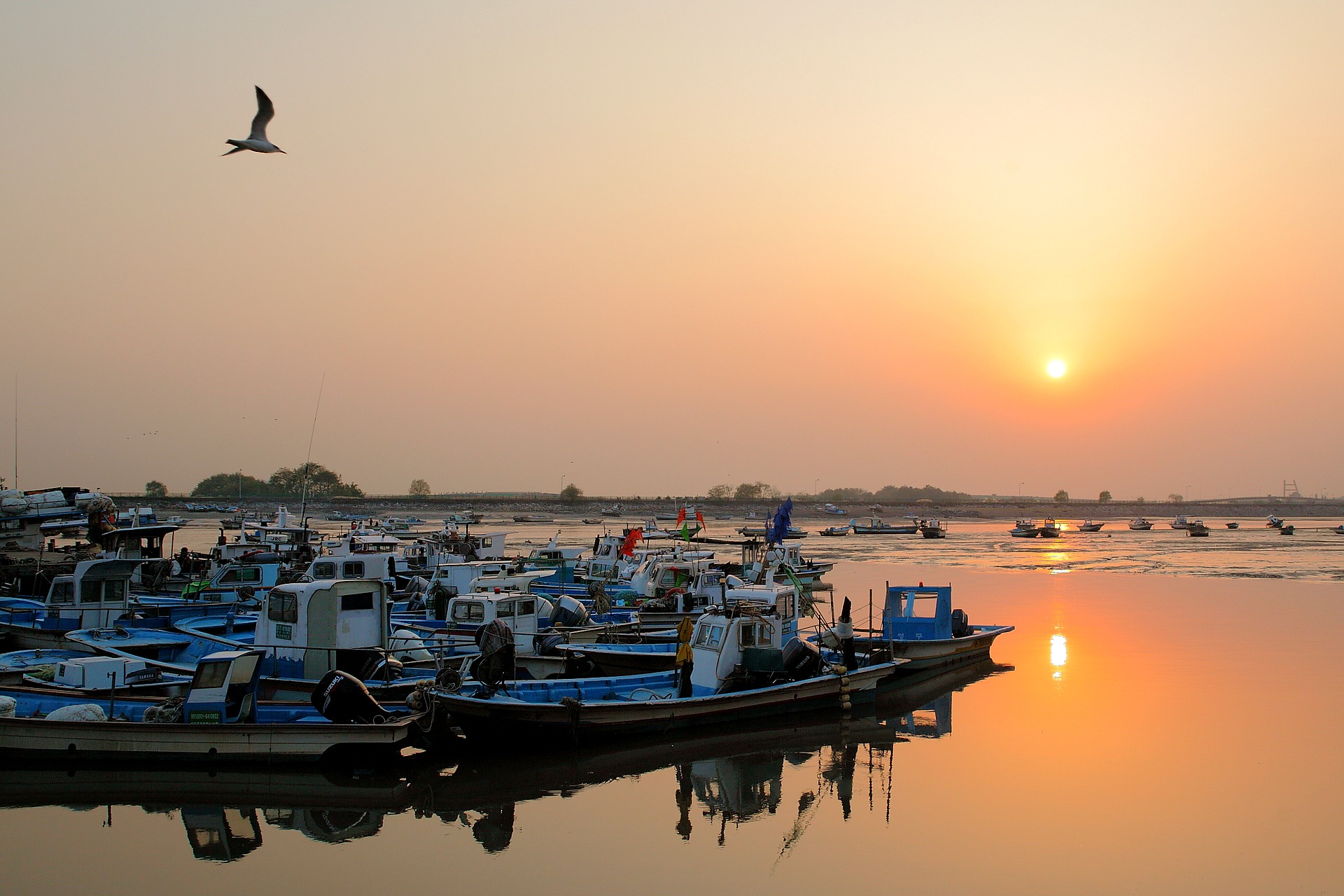 Free download high resolution image - free image free photo free stock image public domain picture -Parked many ships at dock with sunset