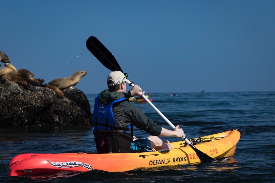 Free download high resolution image - free image free photo free stock image public domain picture  Monterey Bay Ocean Kayaking