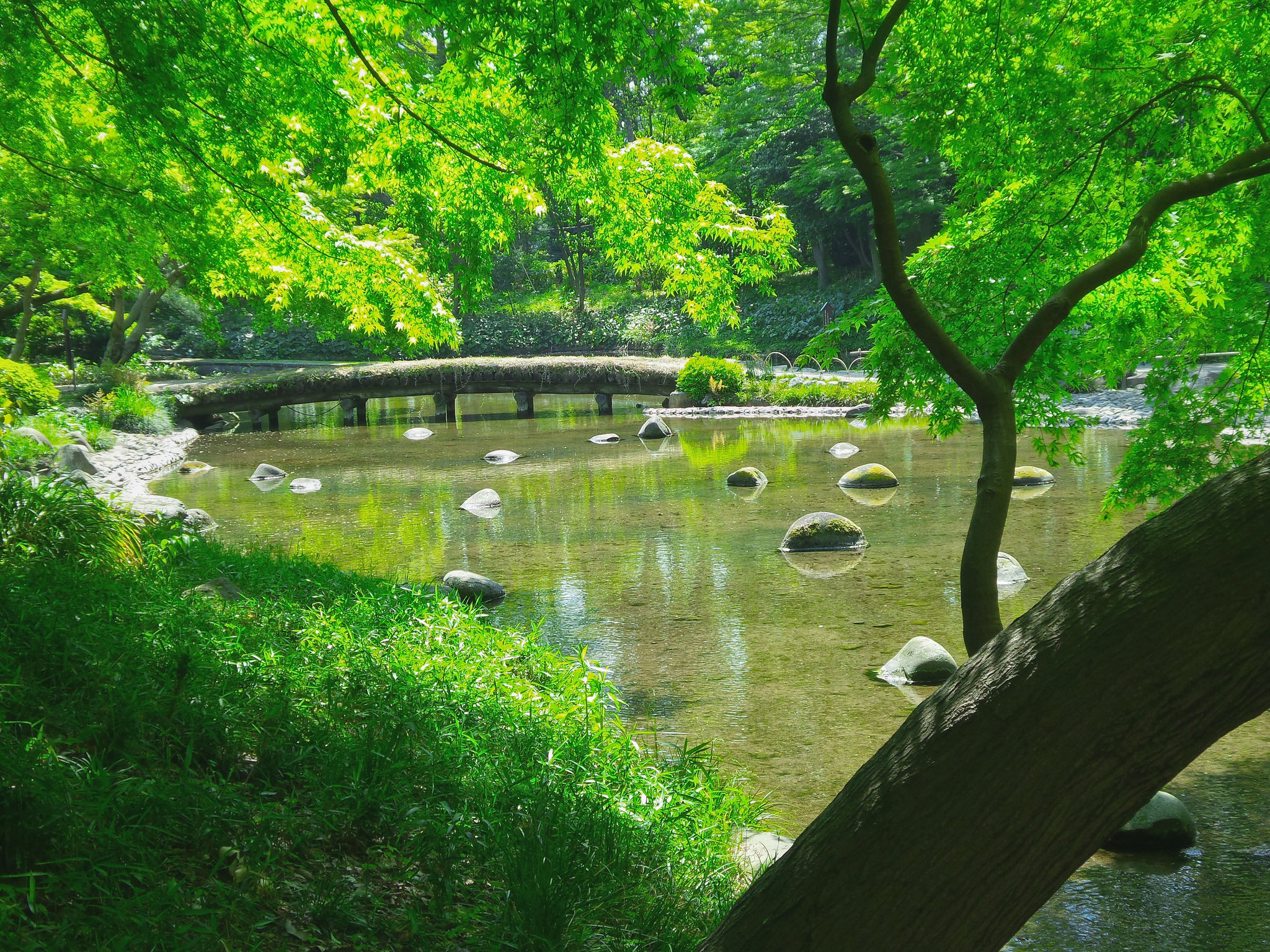 Free download high resolution image - free image free photo free stock image public domain picture -summer landscape with river