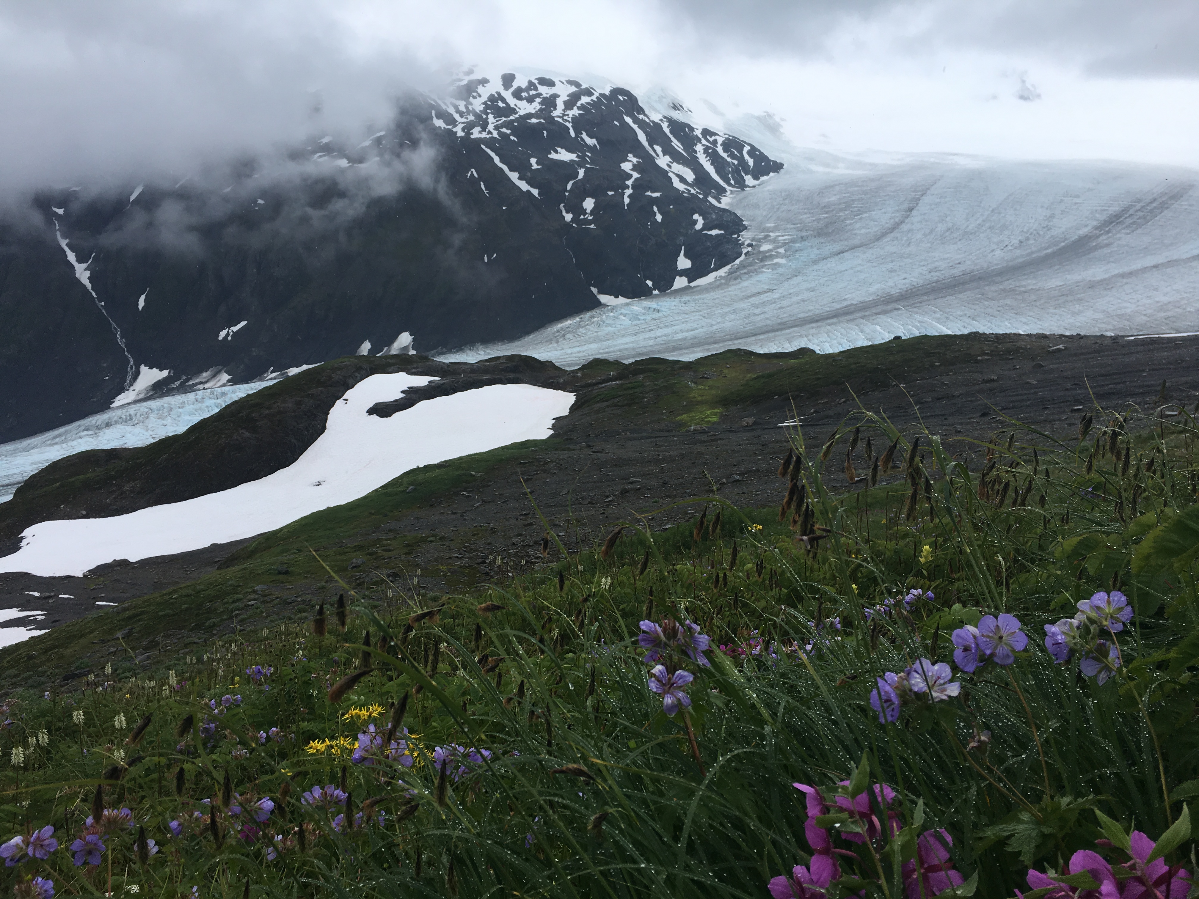 Free download high resolution image - free image free photo free stock image public domain picture -Amazing view of landscape mountain in Alaska