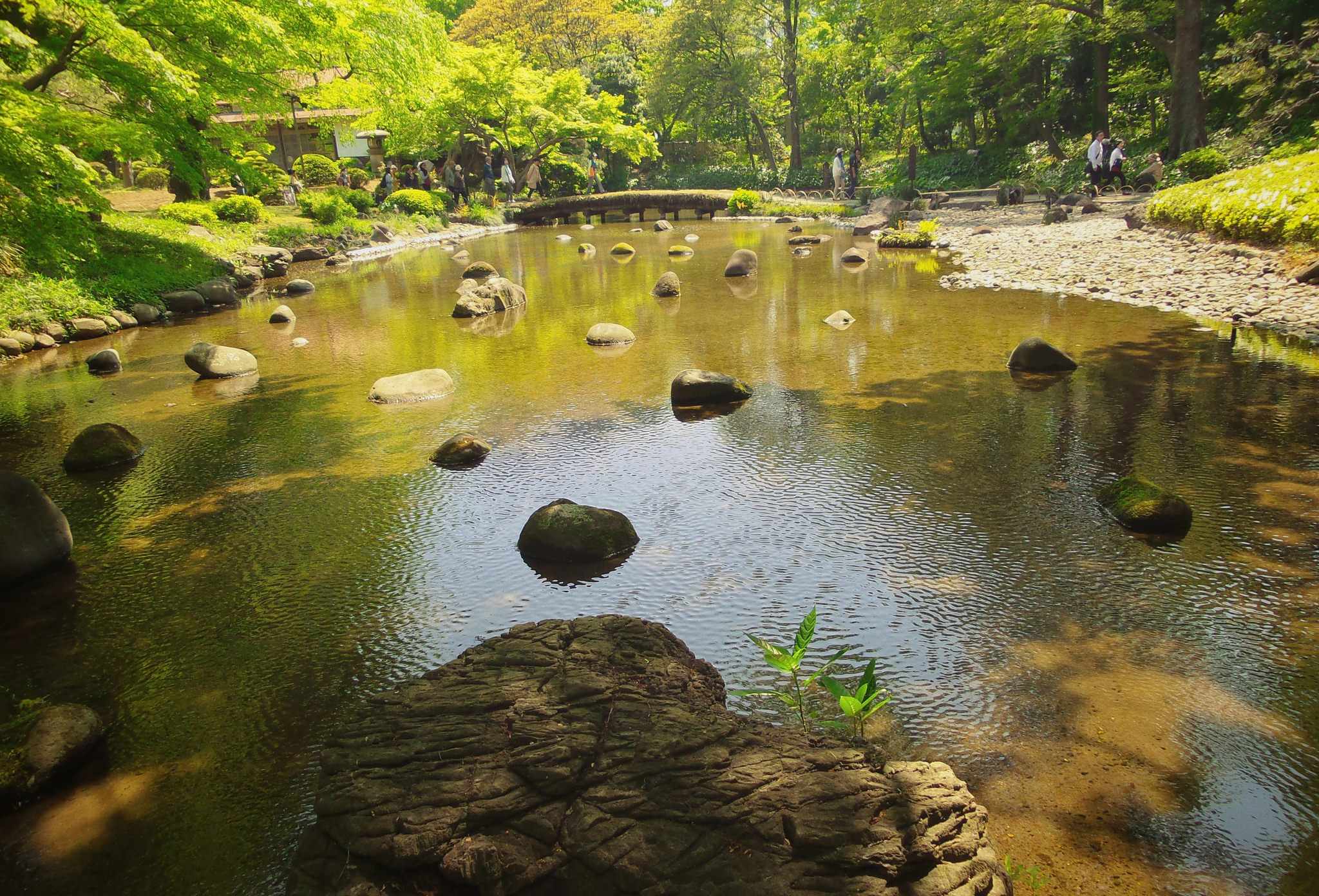 Free download high resolution image - free image free photo free stock image public domain picture -summer landscape with river