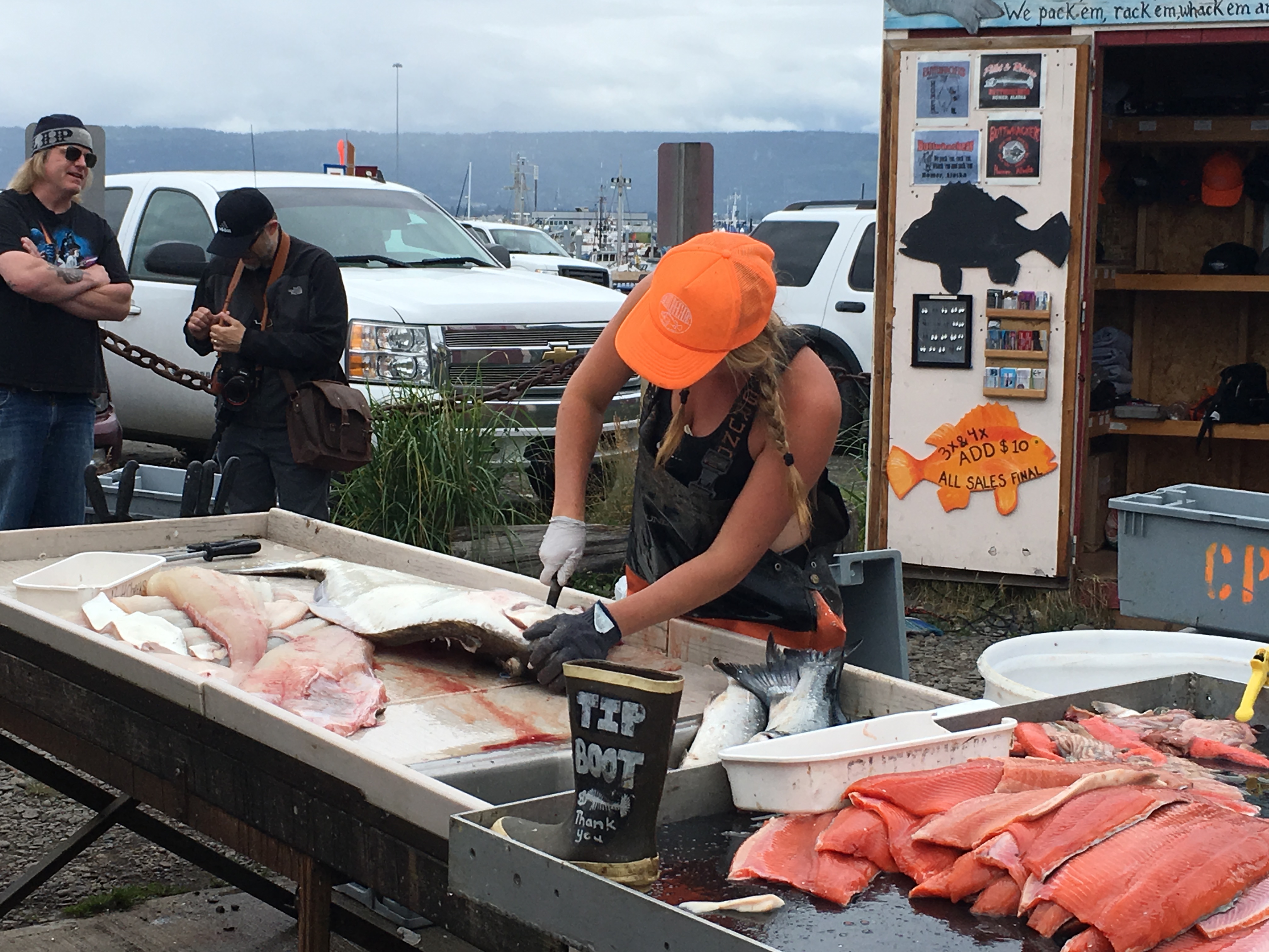 Free download high resolution image - free image free photo free stock image public domain picture -Cleaning several salmon fish near Seward, Alaska