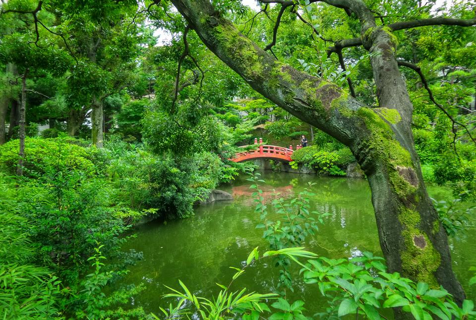 Free download high resolution image - free image free photo free stock image public domain picture  The beautiful Japanese garden