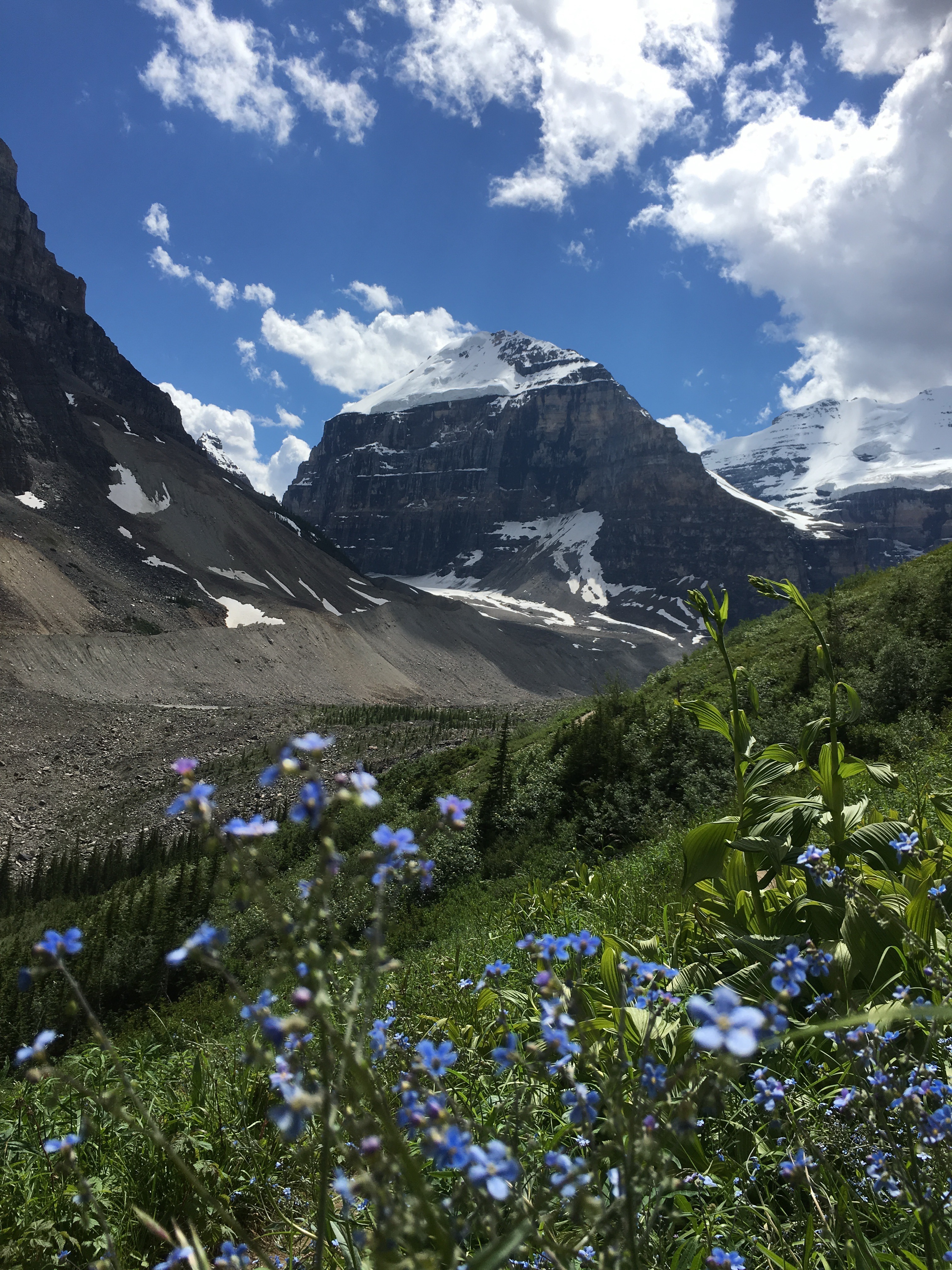 Free download high resolution image - free image free photo free stock image public domain picture -Hiking the Plain of Six Glaciers Trail