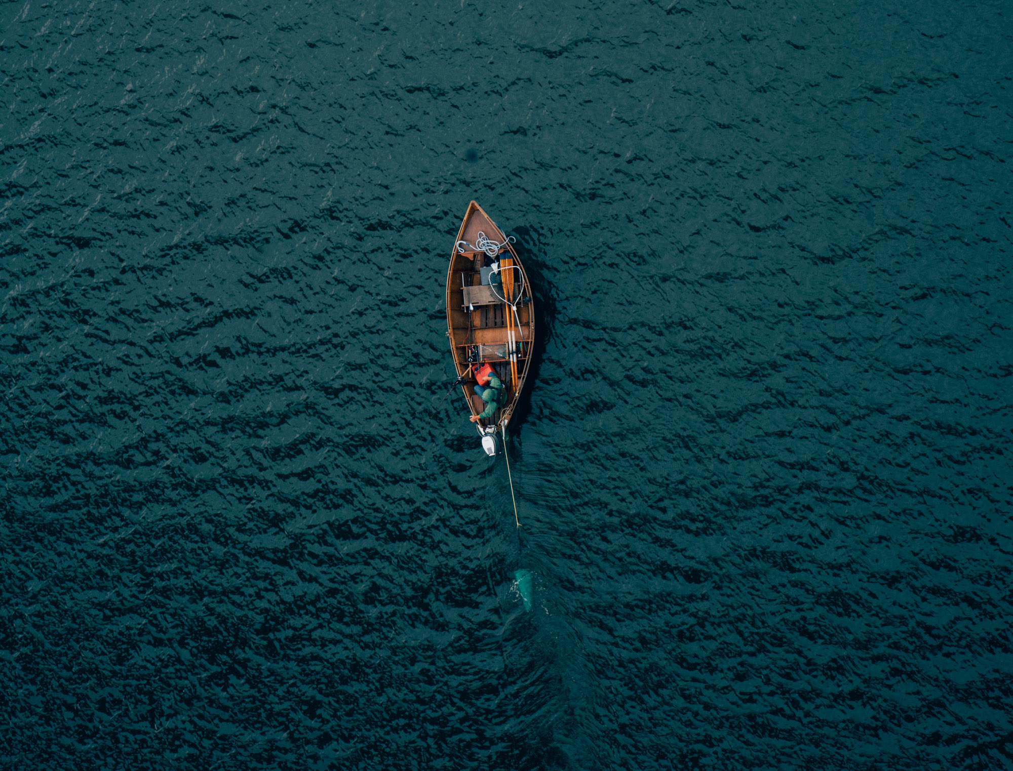 Free download high resolution image - free image free photo free stock image public domain picture -Aerial view of tropical island beach