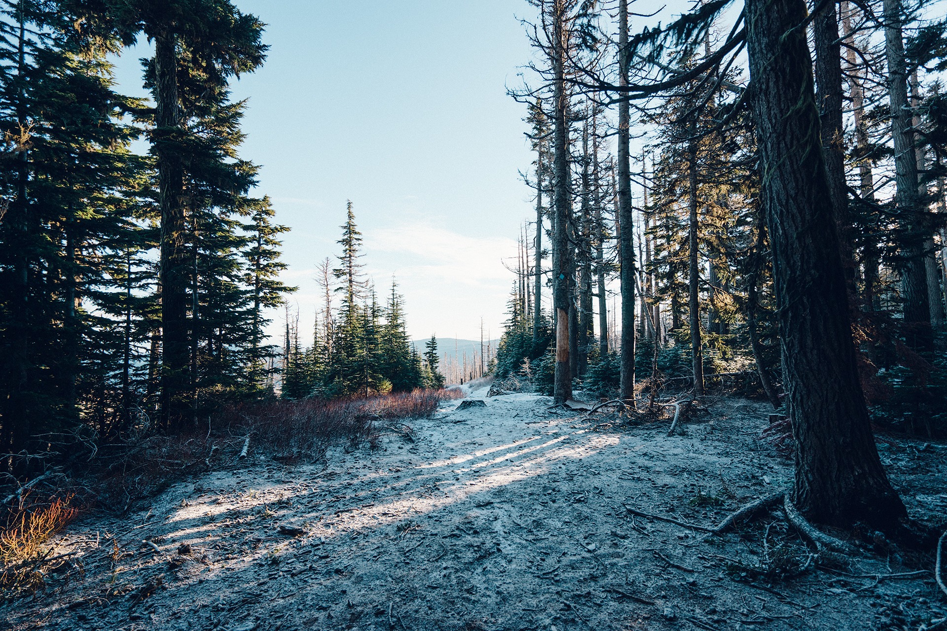 Free download high resolution image - free image free photo free stock image public domain picture -Majestic View of Mt. Hood on a bright, sunny day