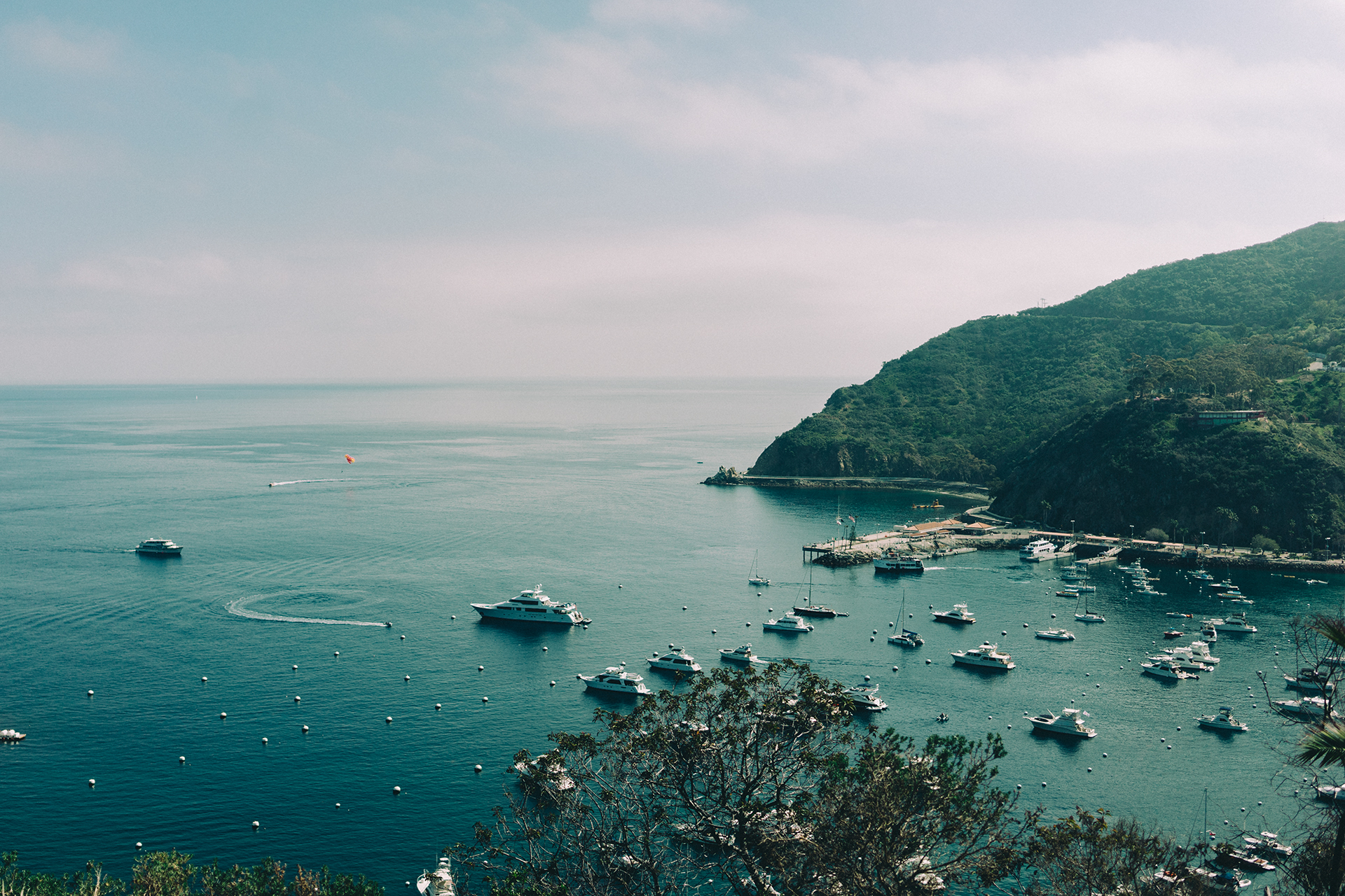 Free download high resolution image - free image free photo free stock image public domain picture -A scenic view of boats at the harbor of Catalina Island