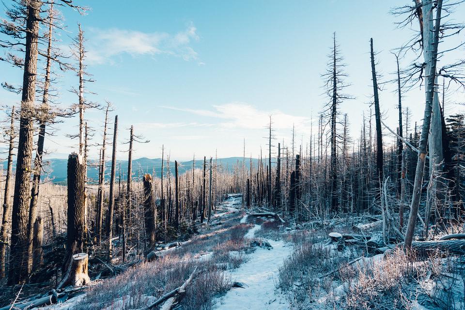 Free download high resolution image - free image free photo free stock image public domain picture  Majestic View of Mt. Hood on a bright, sunny day