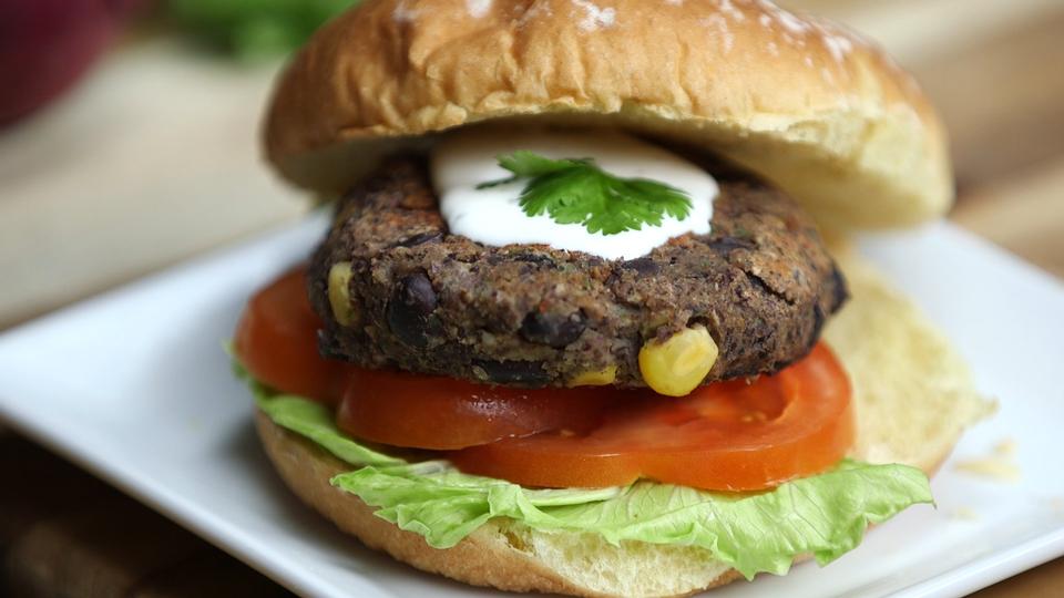 Free download high resolution image - free image free photo free stock image public domain picture  Veggie burger