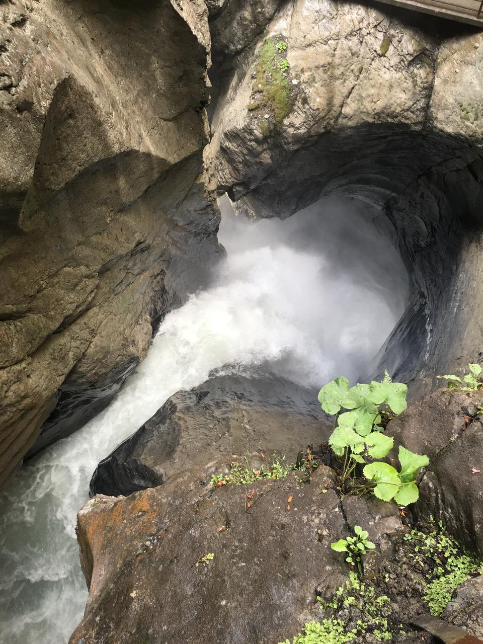 Free download high resolution image - free image free photo free stock image public domain picture  Trümmelbach Falls Thundering and thundering inside the mountain