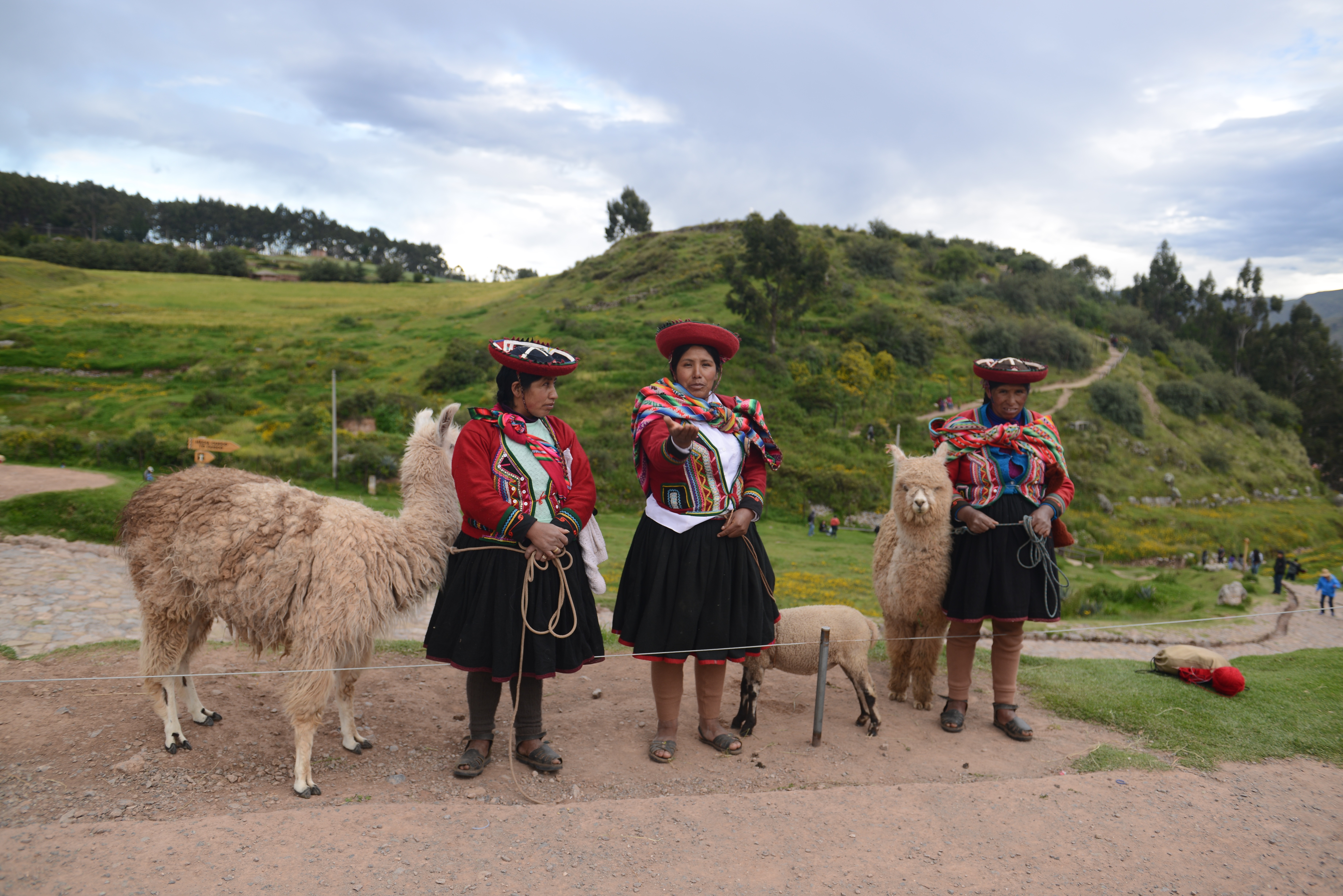 Free download high resolution image - free image free photo free stock image public domain picture -Native Peruvian group with their Llama in Sacred Valley, Cusco