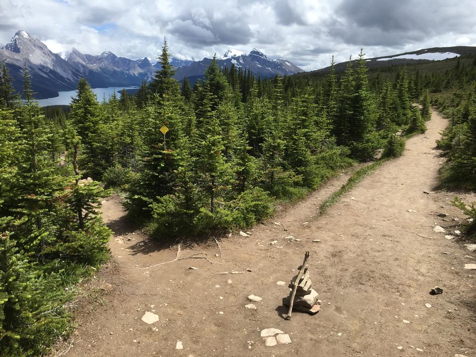 Free download high resolution image - free image free photo free stock image public domain picture  Bald Hills and Maligne Lake, Jasper National Park, Canada