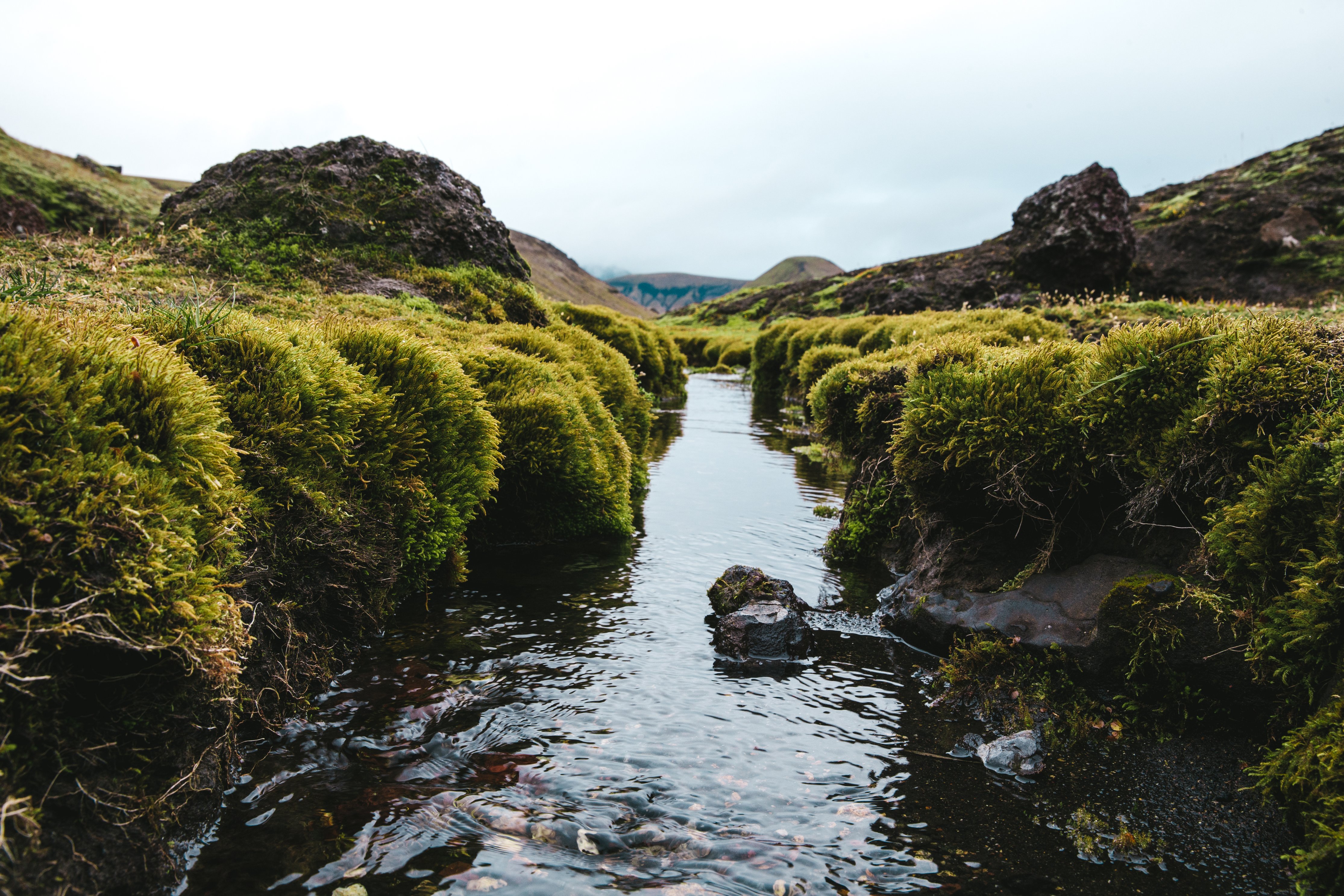 Free download high resolution image - free image free photo free stock image public domain picture -Small narrow creek with clear water