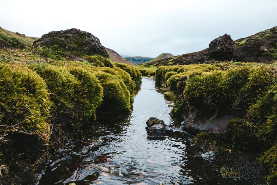 Free download high resolution image - free image free photo free stock image public domain picture  Small narrow creek with clear water