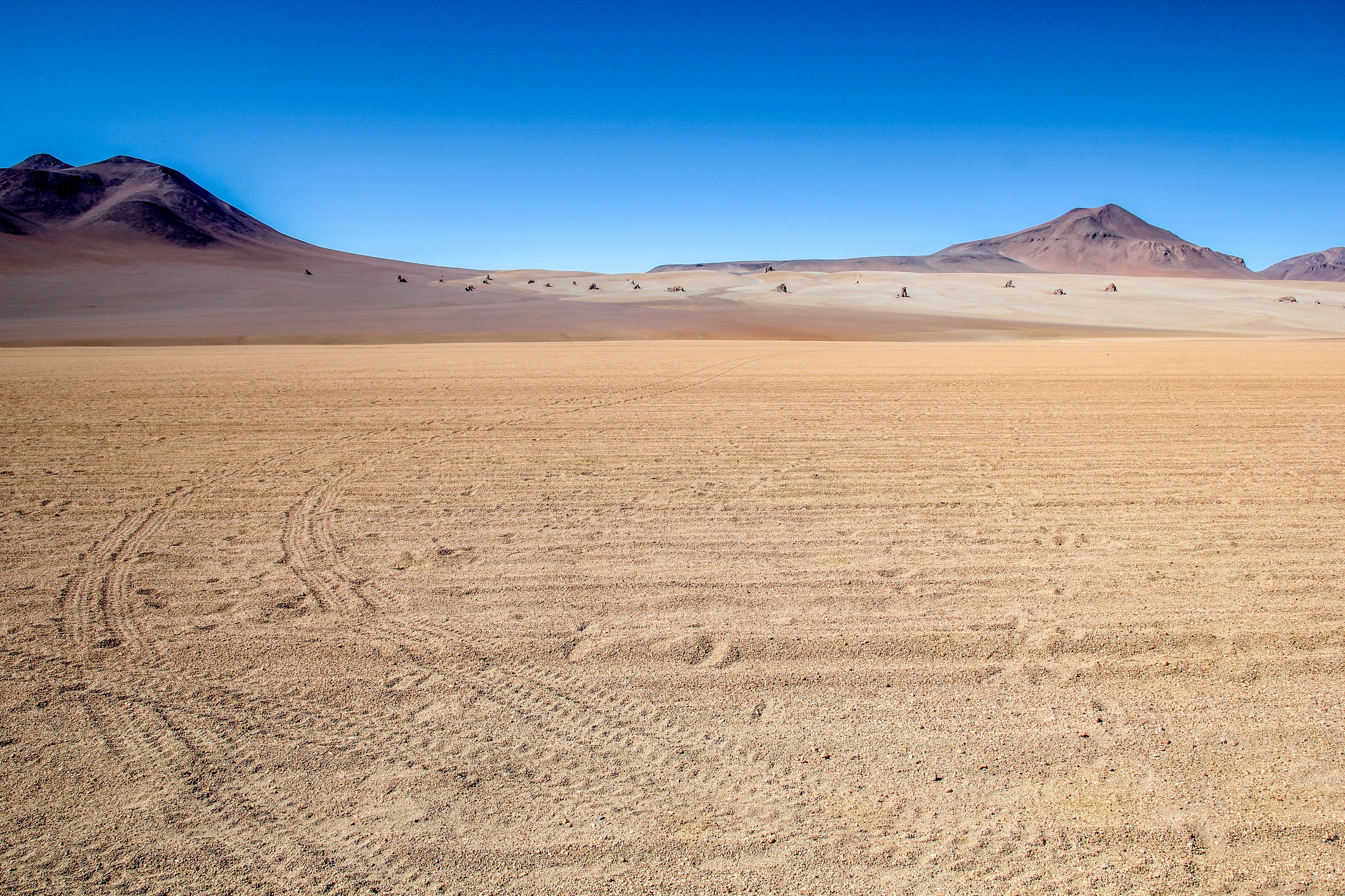 Free download high resolution image - free image free photo free stock image public domain picture -Salvador Dali Desert