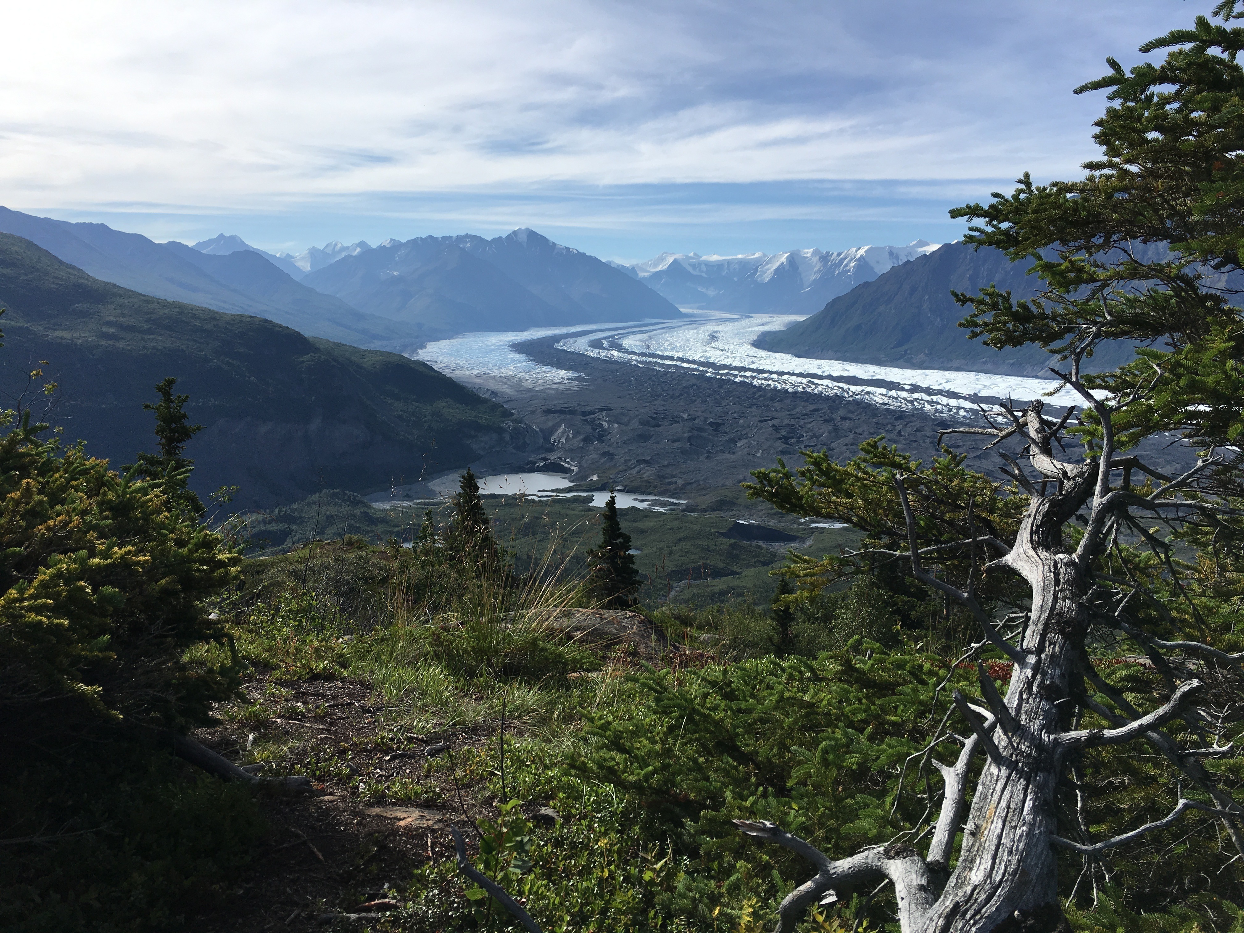 Free download high resolution image - free image free photo free stock image public domain picture -Exit Glacier, Kenai Fjords National Park, Seward, Alaska