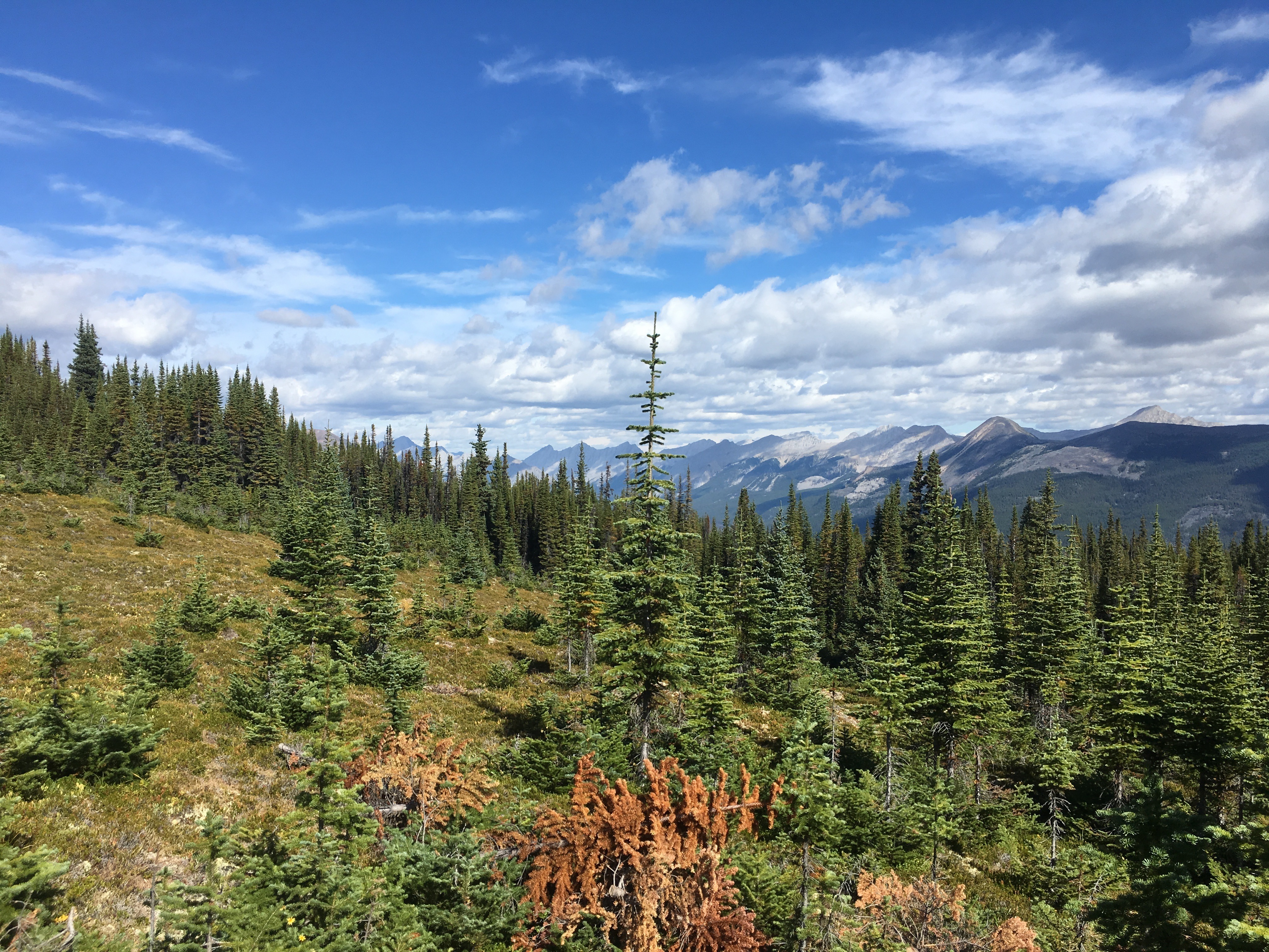 Free download high resolution image - free image free photo free stock image public domain picture -Sulphur Mountain in Banff National Park