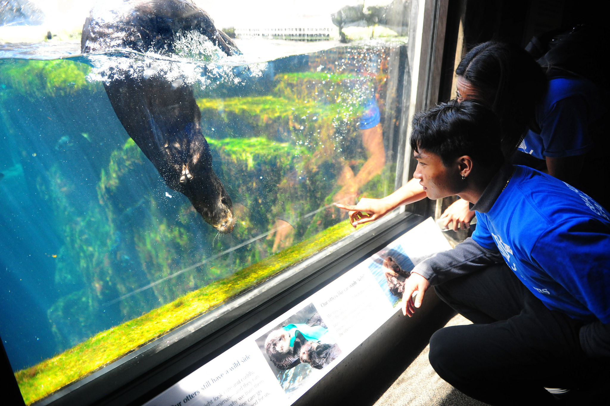 Free download high resolution image - free image free photo free stock image public domain picture -Monterey Bay Aquarium