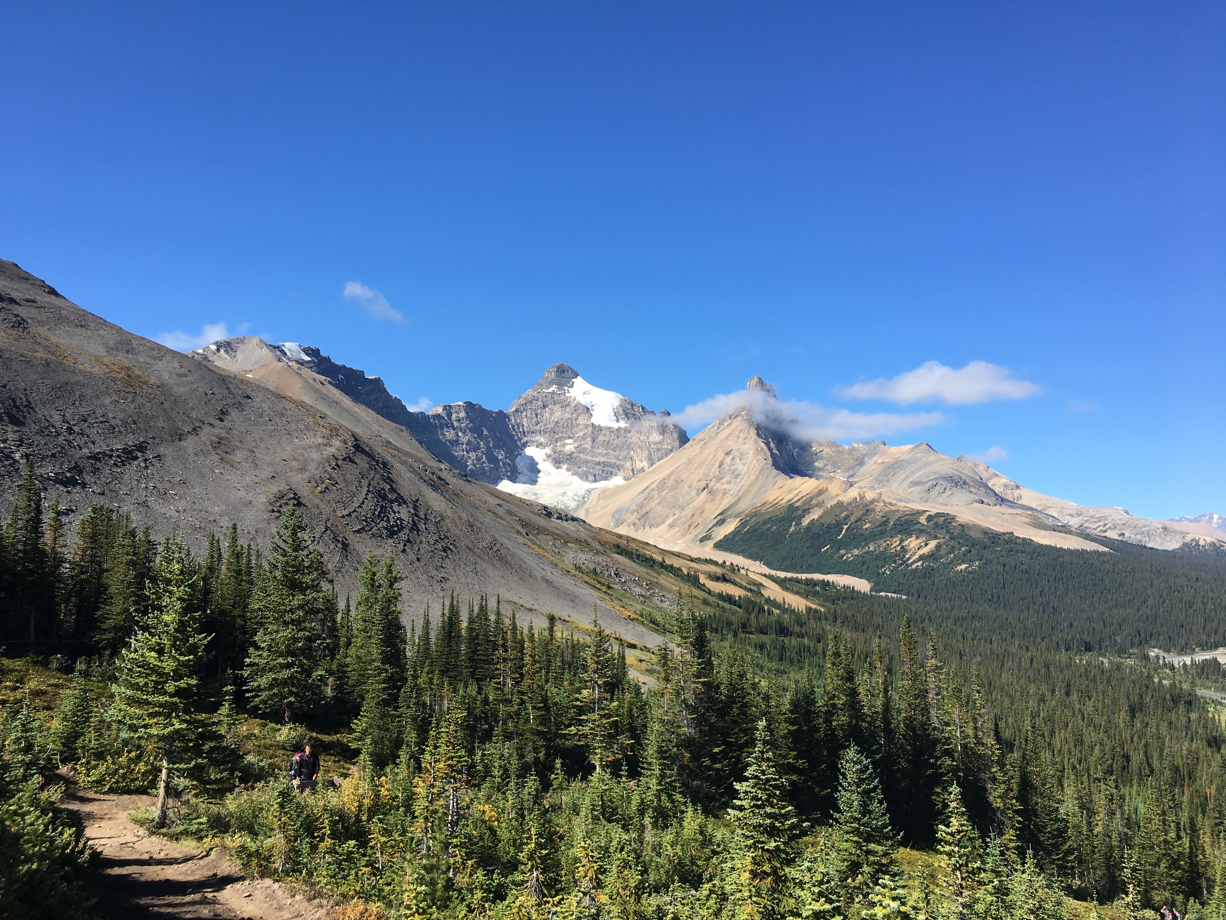 Free download high resolution image - free image free photo free stock image public domain picture -Summer in Yoho National Park, Canada