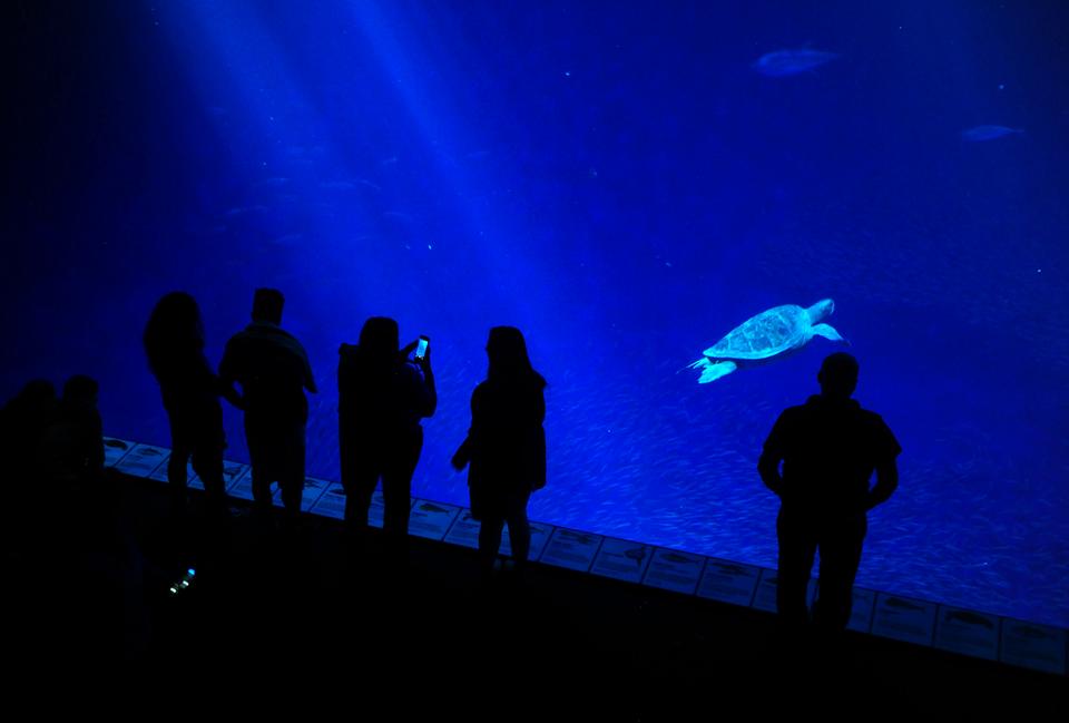 Free download high resolution image - free image free photo free stock image public domain picture  Monterey Bay Aquarium