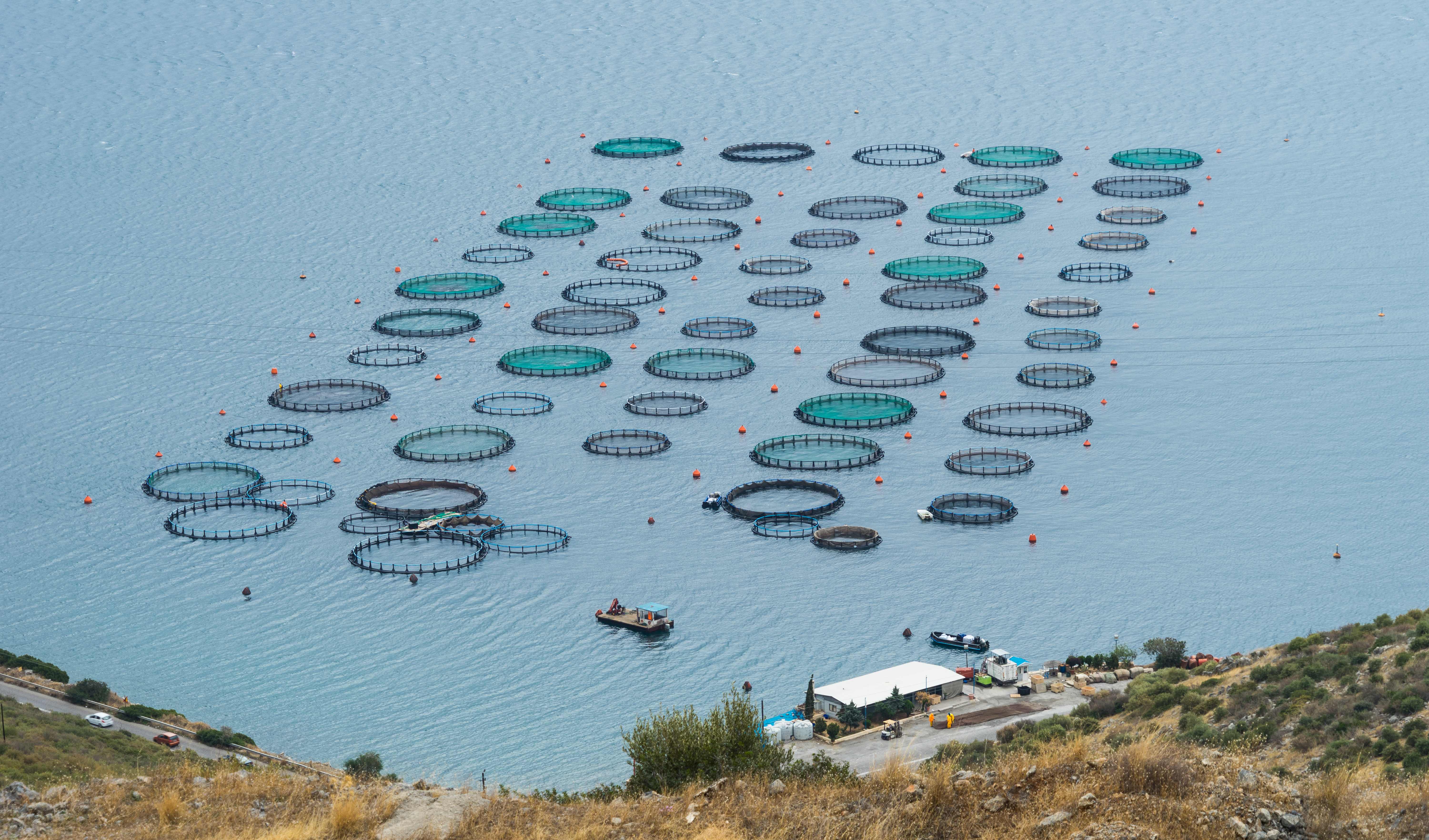 Free download high resolution image - free image free photo free stock image public domain picture -Fish farming near Amarynthos, Euboea, Greece.