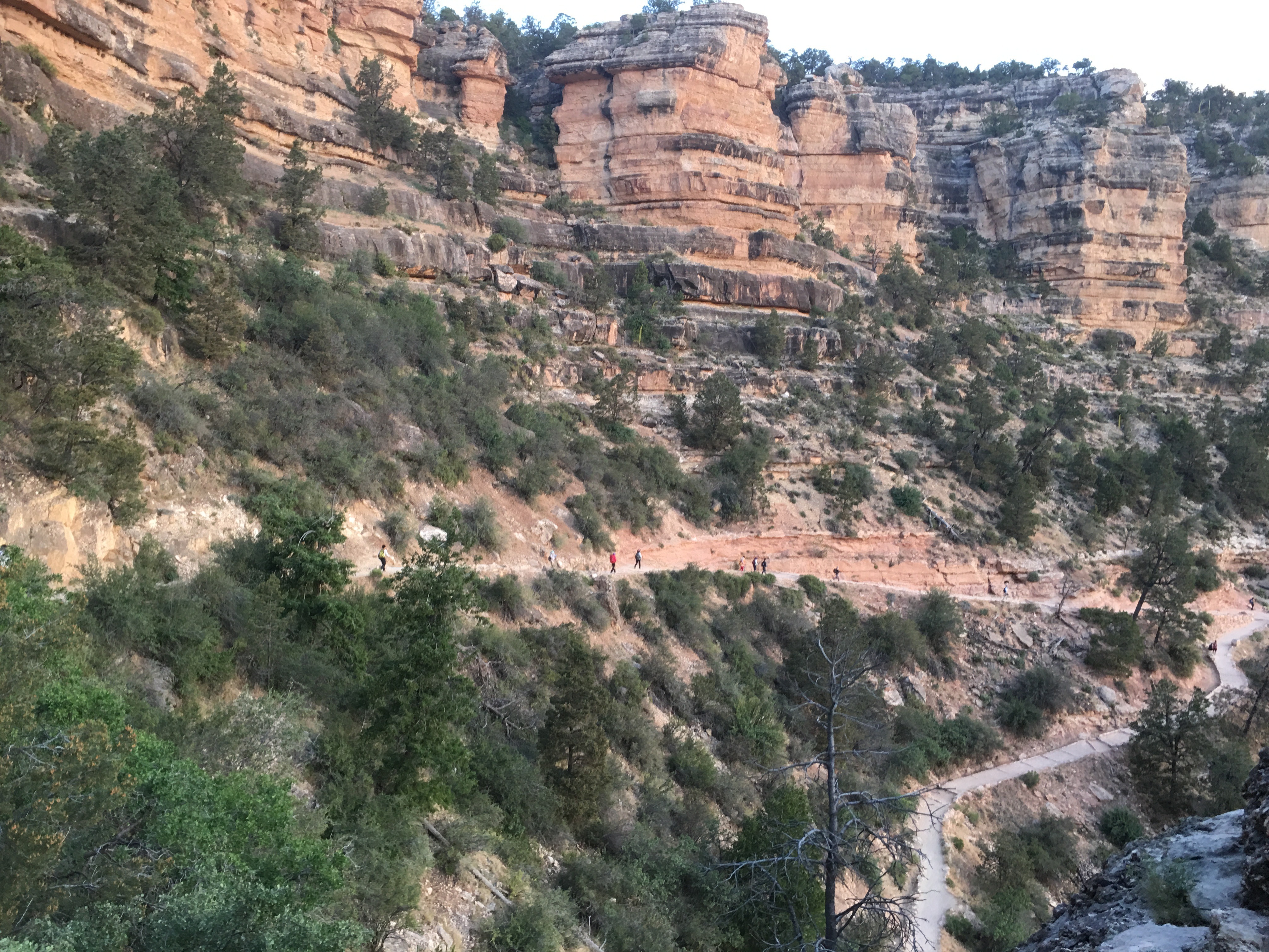 Free download high resolution image - free image free photo free stock image public domain picture -People riding up a trail at the Grand Canyon