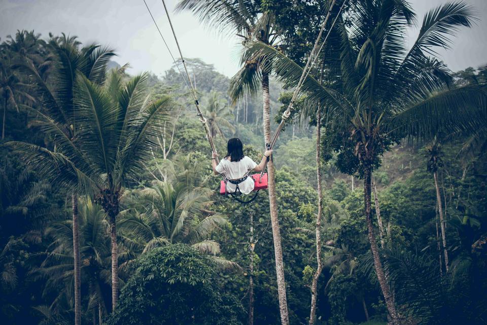 Free download high resolution image - free image free photo free stock image public domain picture  Woman swinging in the jungle of Bali island