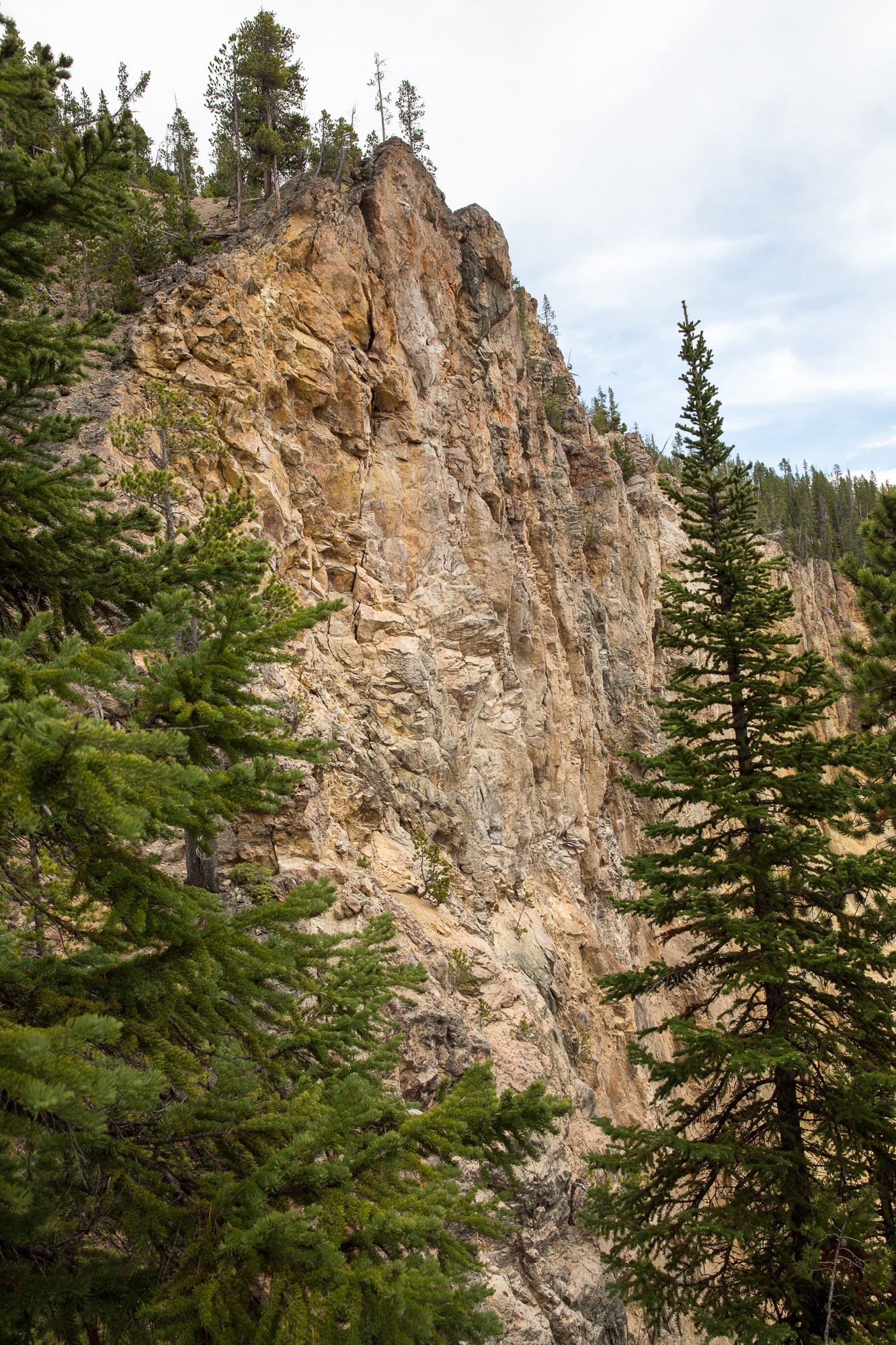 Free download high resolution image - free image free photo free stock image public domain picture -South Rim of the Grand Canyon of the Yellowstone in Yellowstone