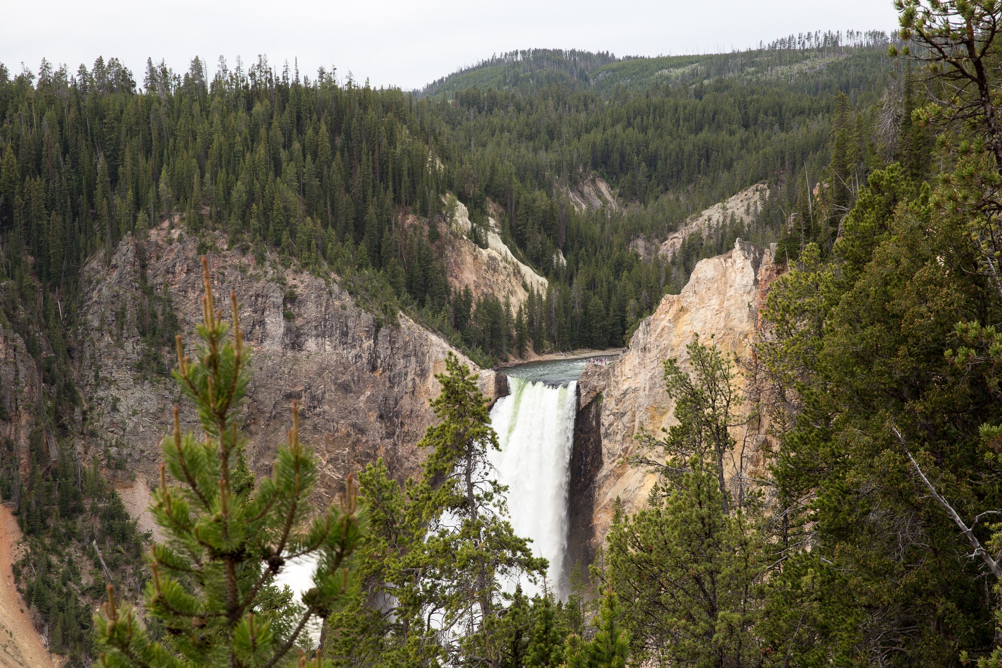 Free download high resolution image - free image free photo free stock image public domain picture -The Upper Falls in the Grand Canyon of the Yellowstone