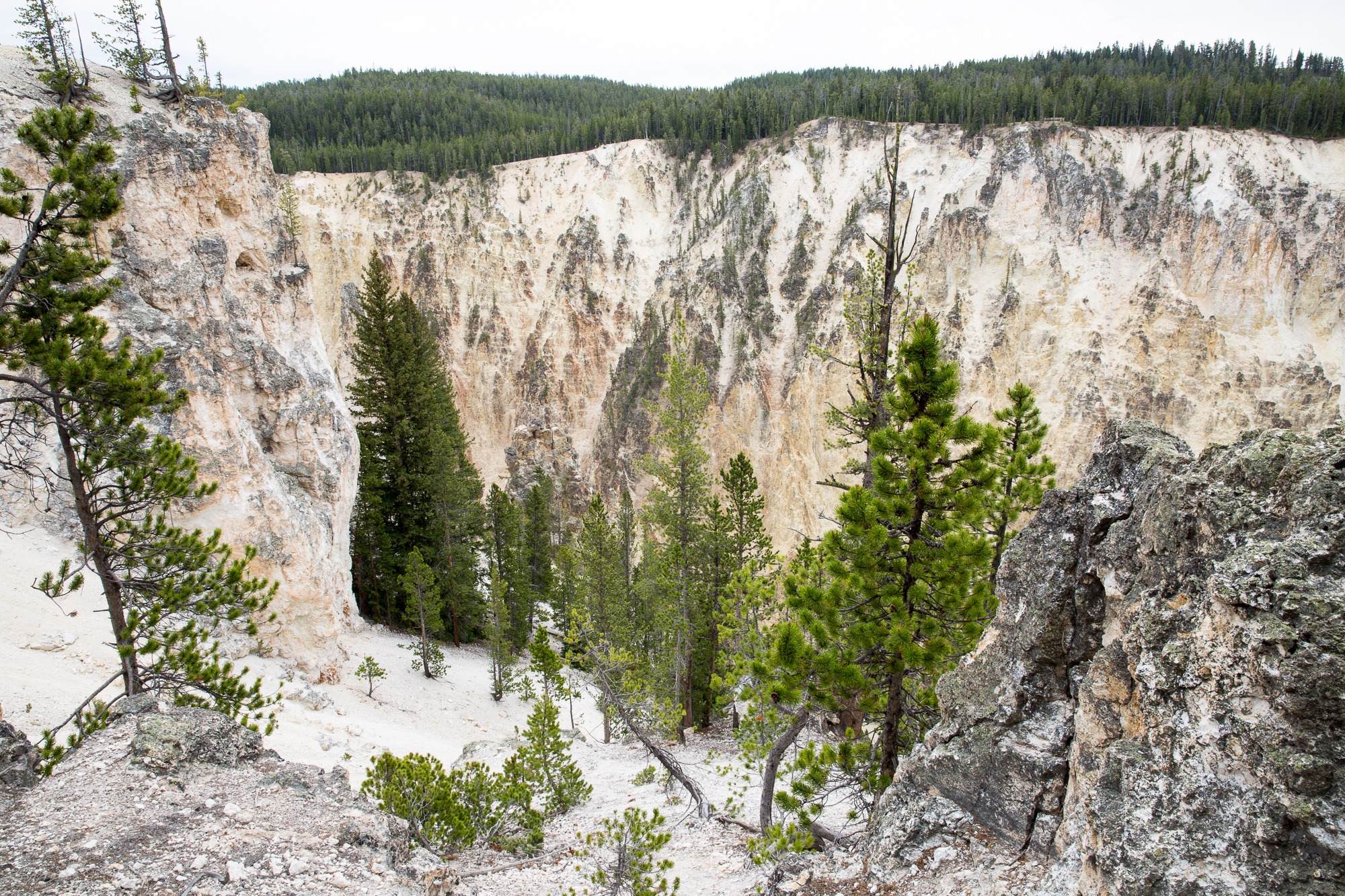 Free download high resolution image - free image free photo free stock image public domain picture -South Rim of the Grand Canyon of the Yellowstone