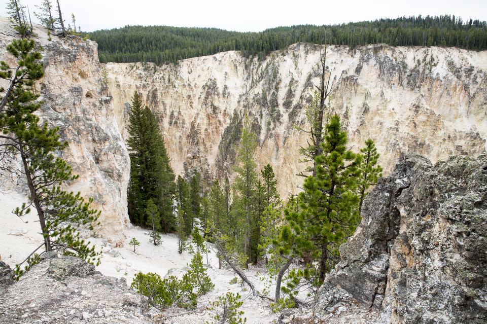 Free download high resolution image - free image free photo free stock image public domain picture  South Rim of the Grand Canyon of the Yellowstone